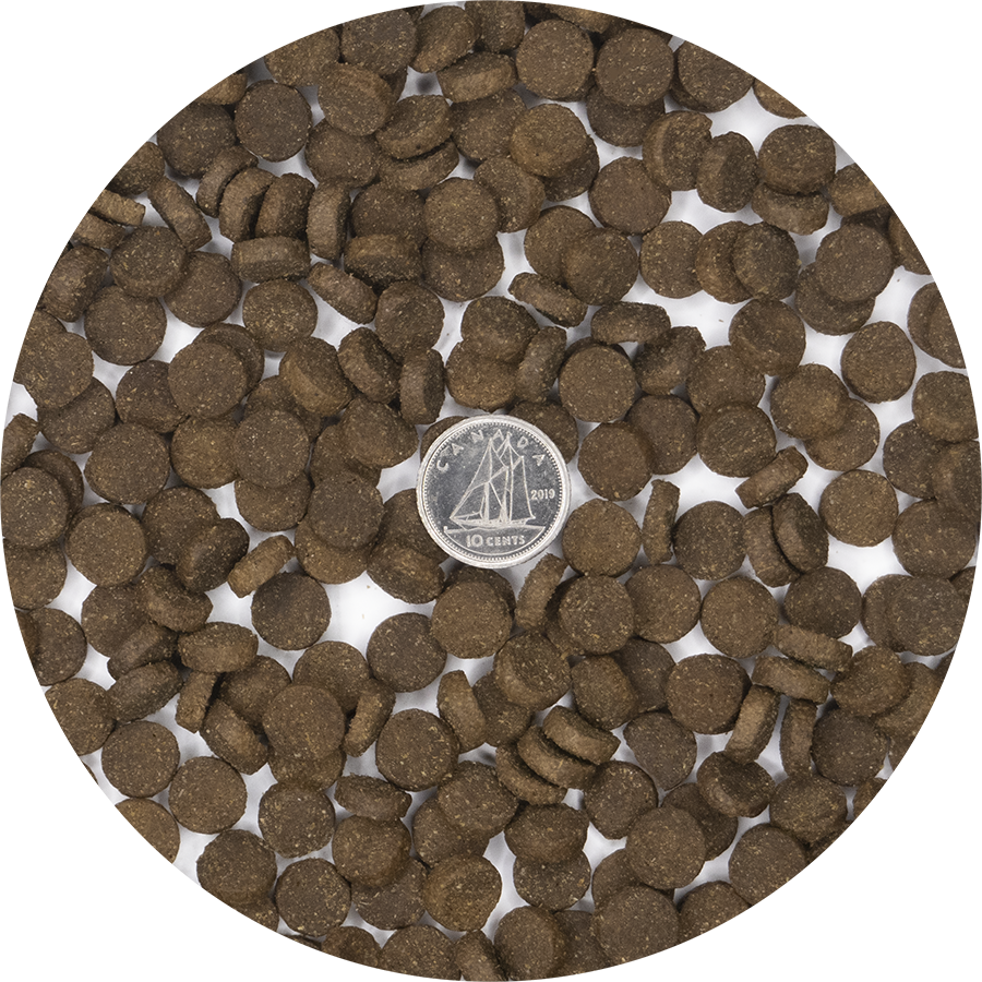 Marine 16 Canadian E-commerce | Inukshuk Professional Dog Food