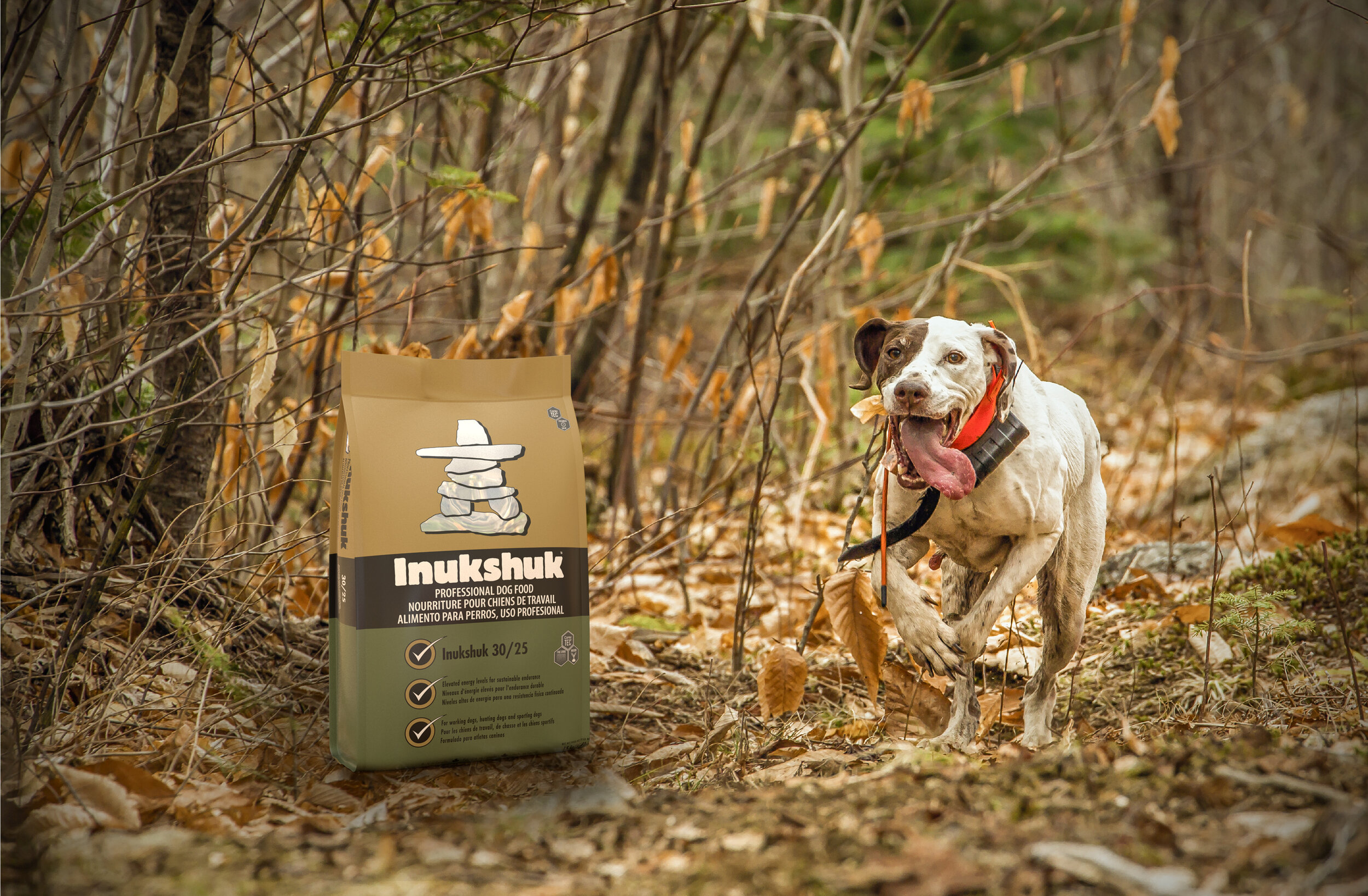 Inukshuk Professional Dog Food
