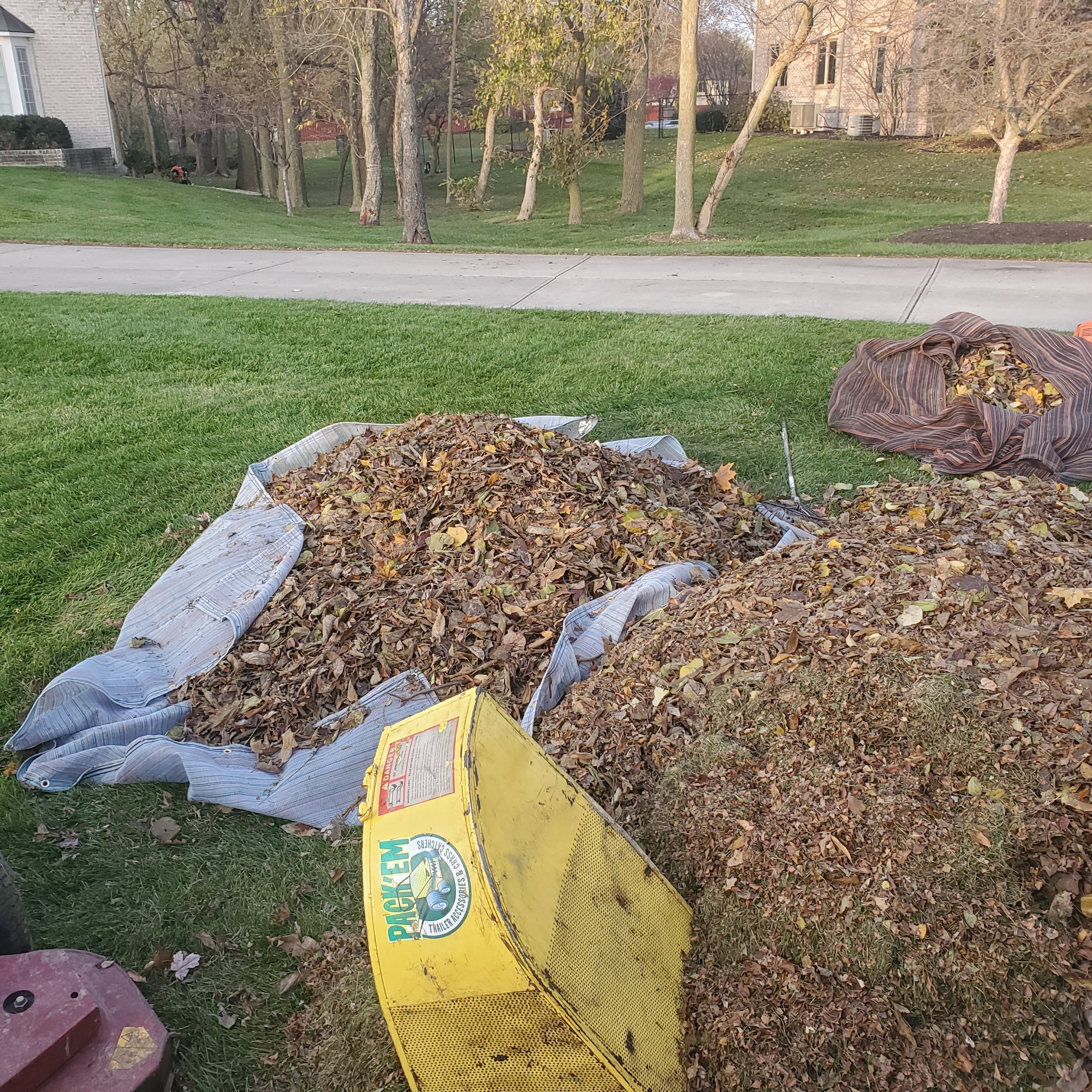 Full Service Leaf Removal in Broad Ripple, Indianapolis, IN