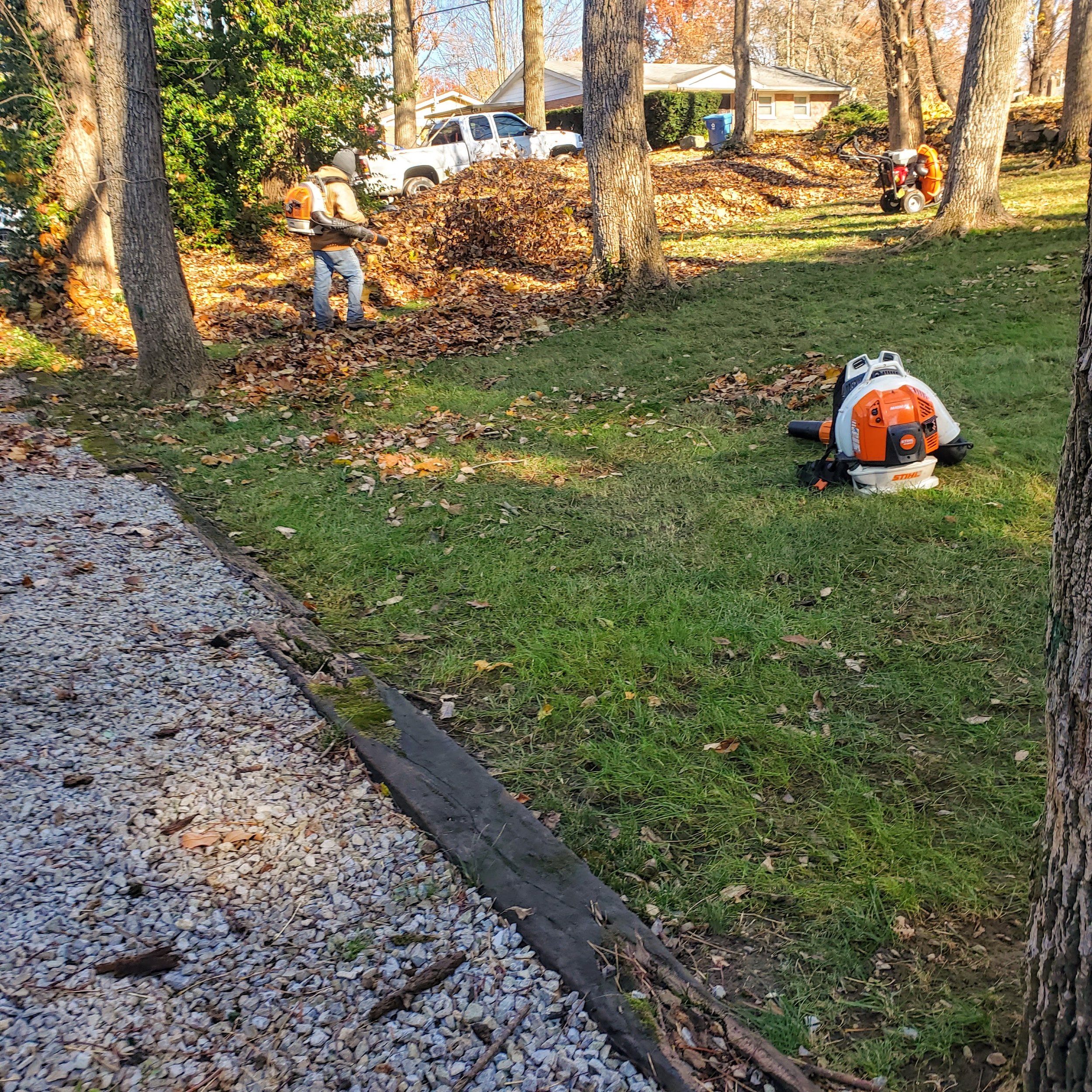 Full Service Leaf Removal in Indianapolis, IN