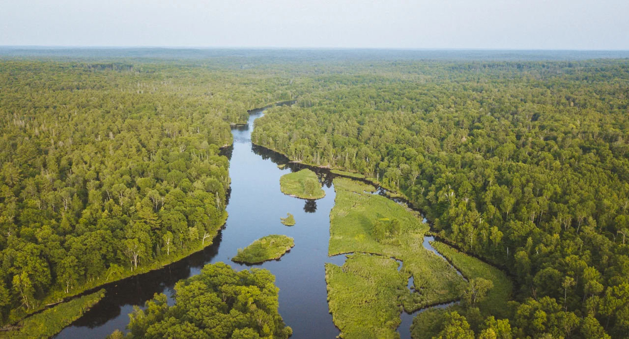 DJI_0051.jpg