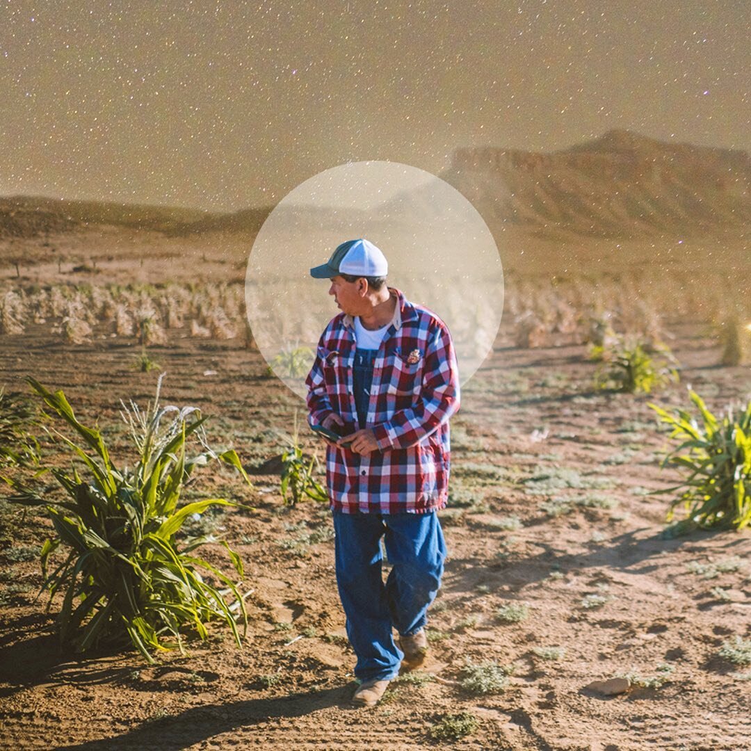 NATIVE AMERICAN HERITAGE MONTH HIGHLIGHT: Hopi
Collage by @youngmer - Pictured Dr. Michael Kotutwa Johnson, Hopi @dr._hopi_farmer 
&bull;
Dr.Michael Kotutwa Johnson is a Hopi dry-land farmer who works to gain recognition for traditional techniques by