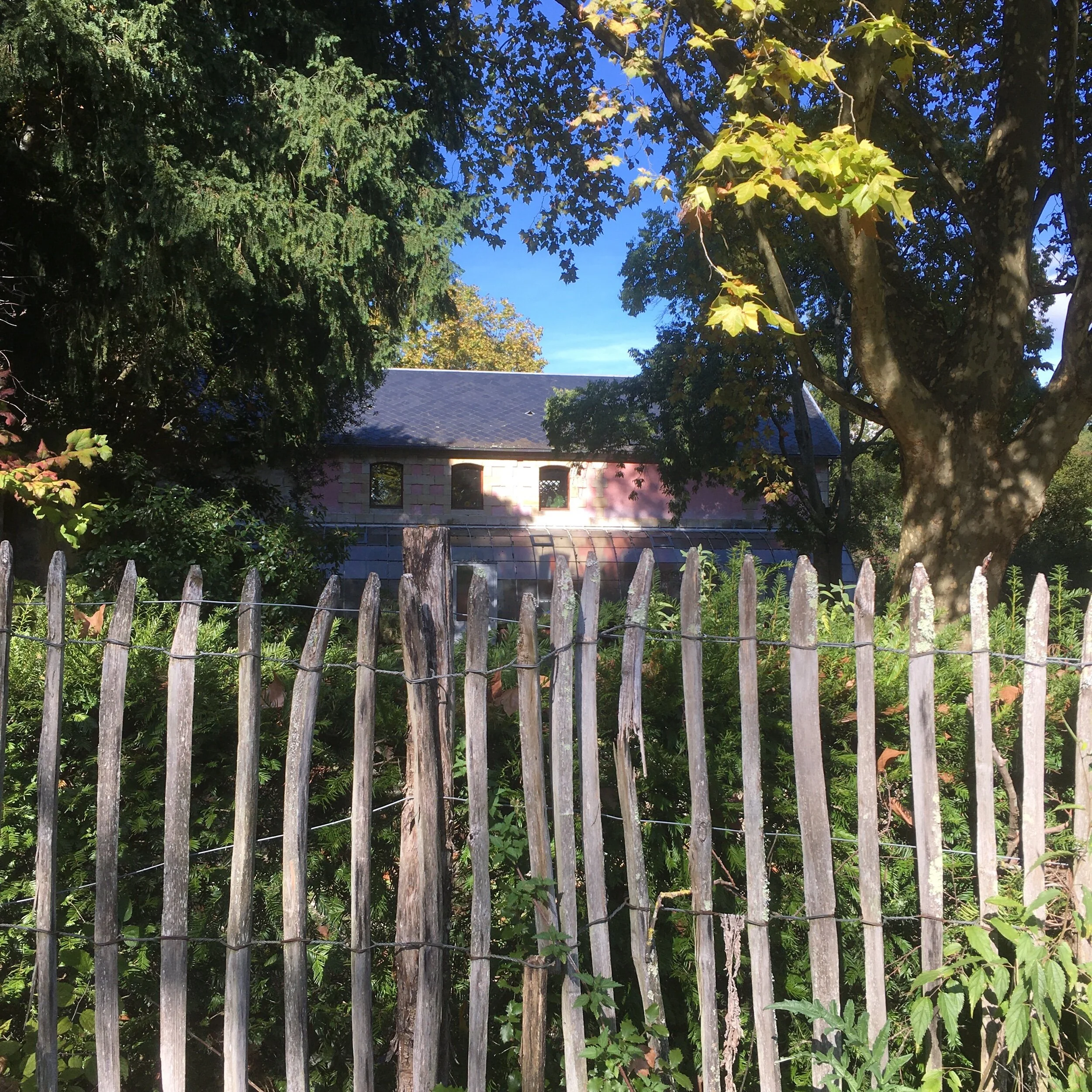 IMG_3690.jpeg