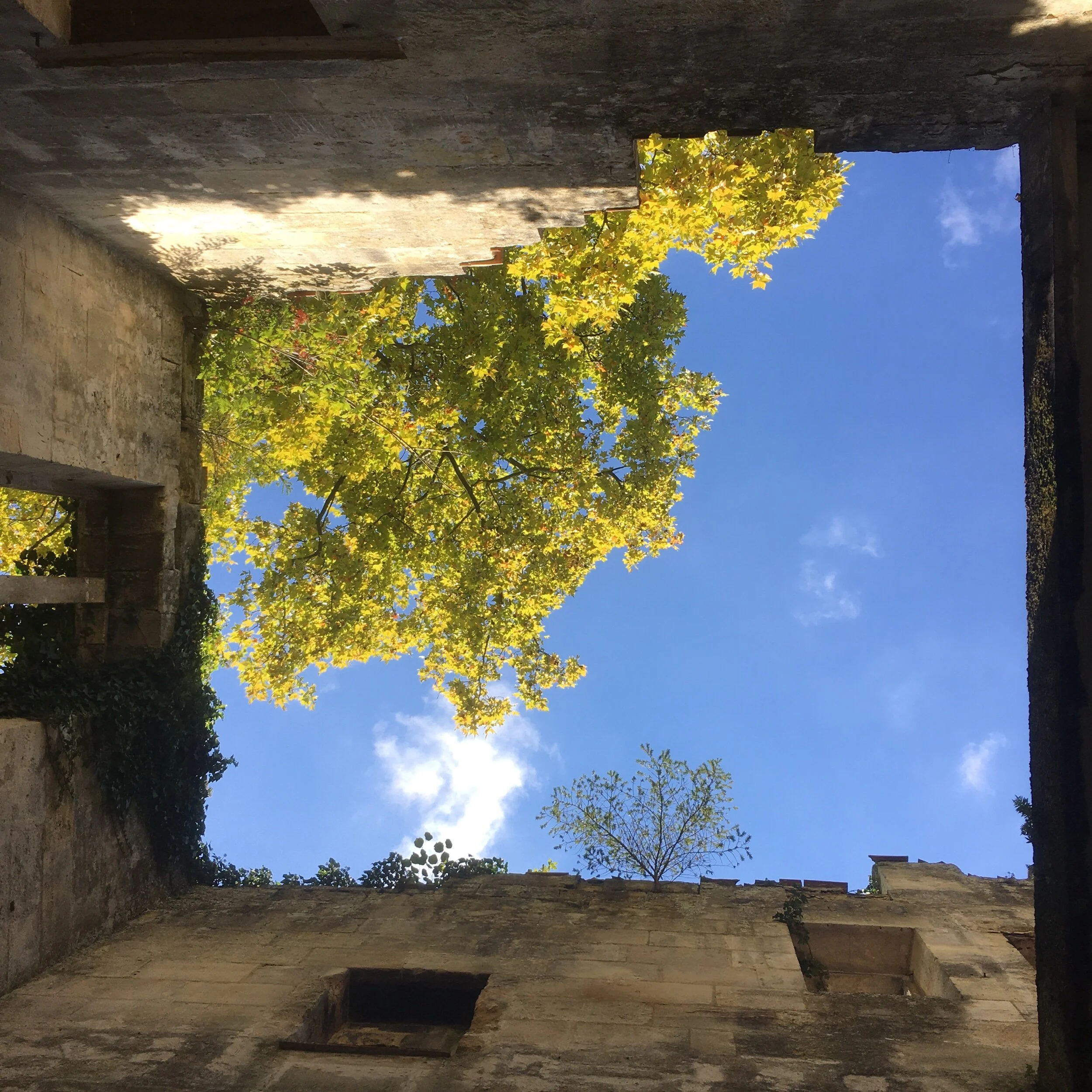 IMG_3686.jpeg