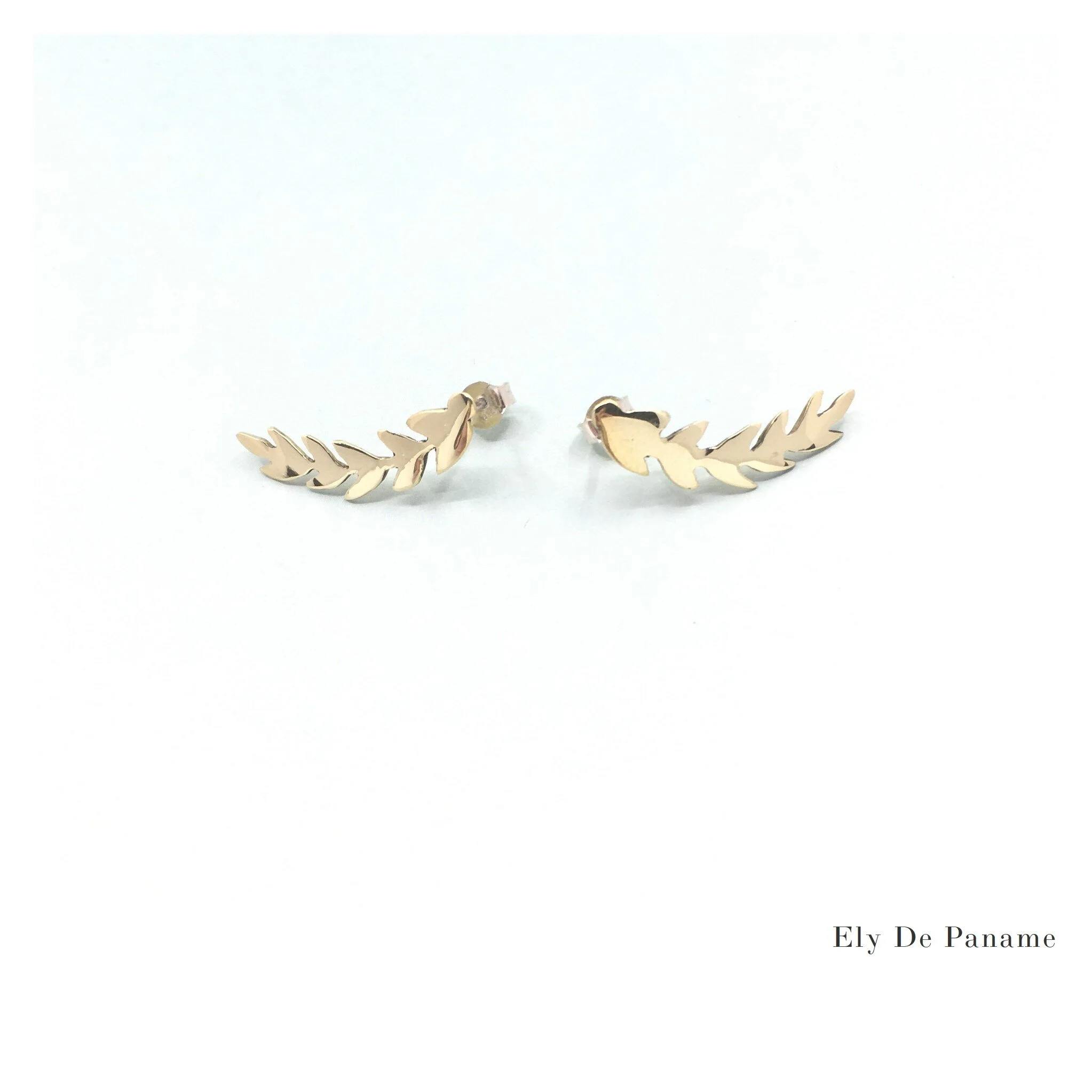 Boucles d'oreilles Laurus Nobilis