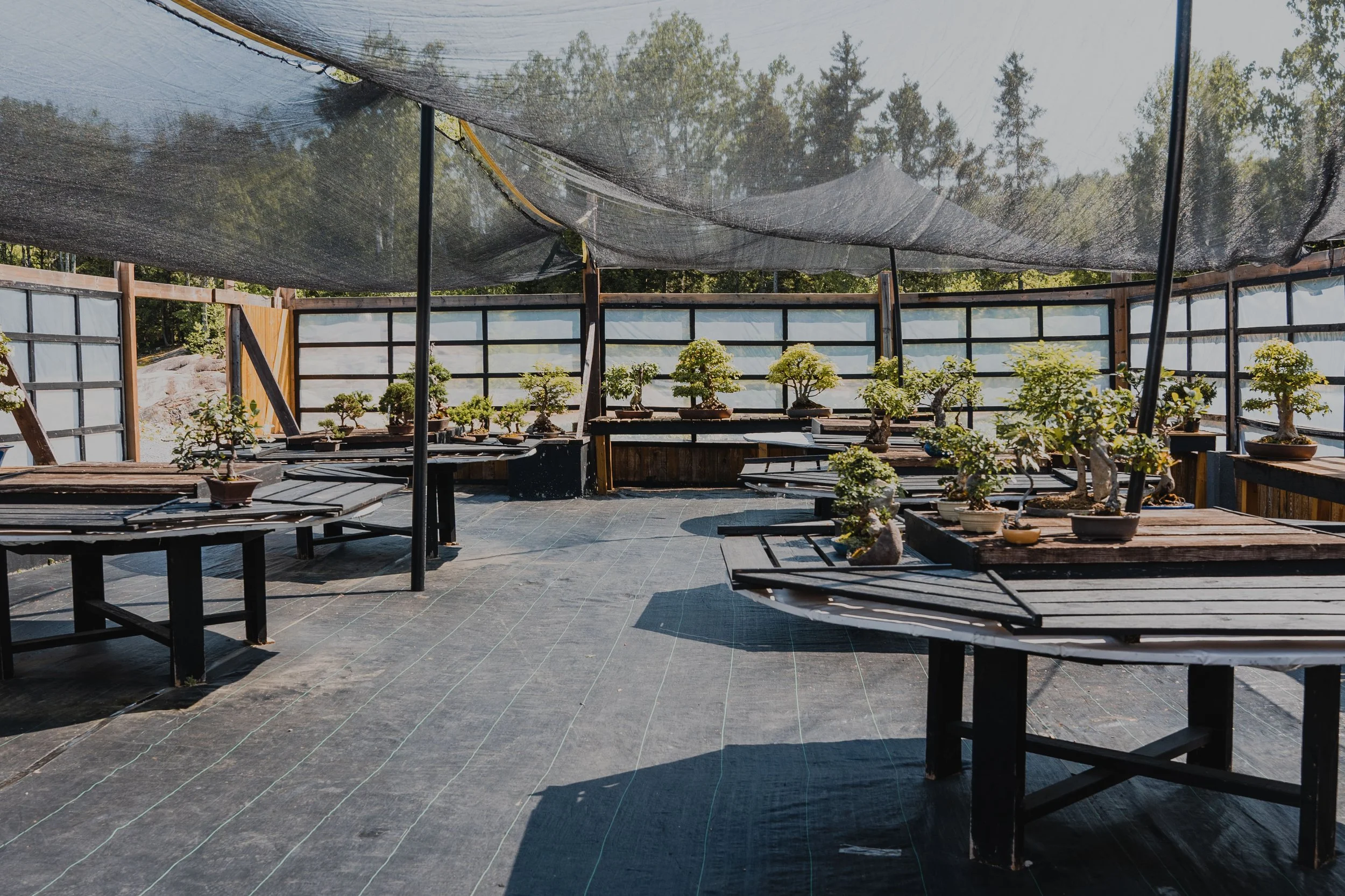 [Lanaudière, SaintAlphonseRodriguez] Bonsaï GrosBec — On va se promener?