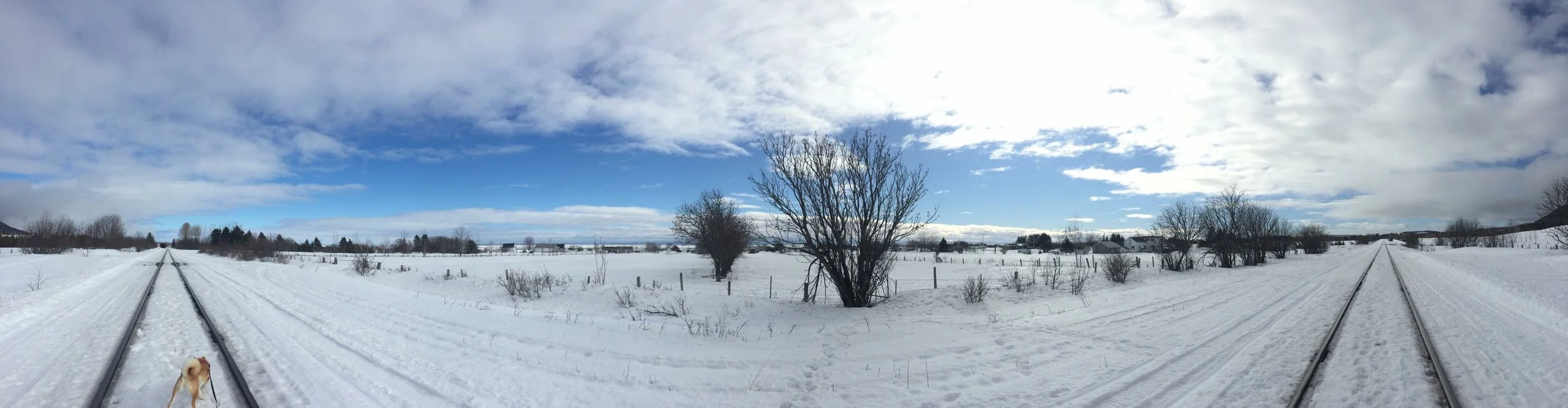 received_1901486599864208 (1).jpeg