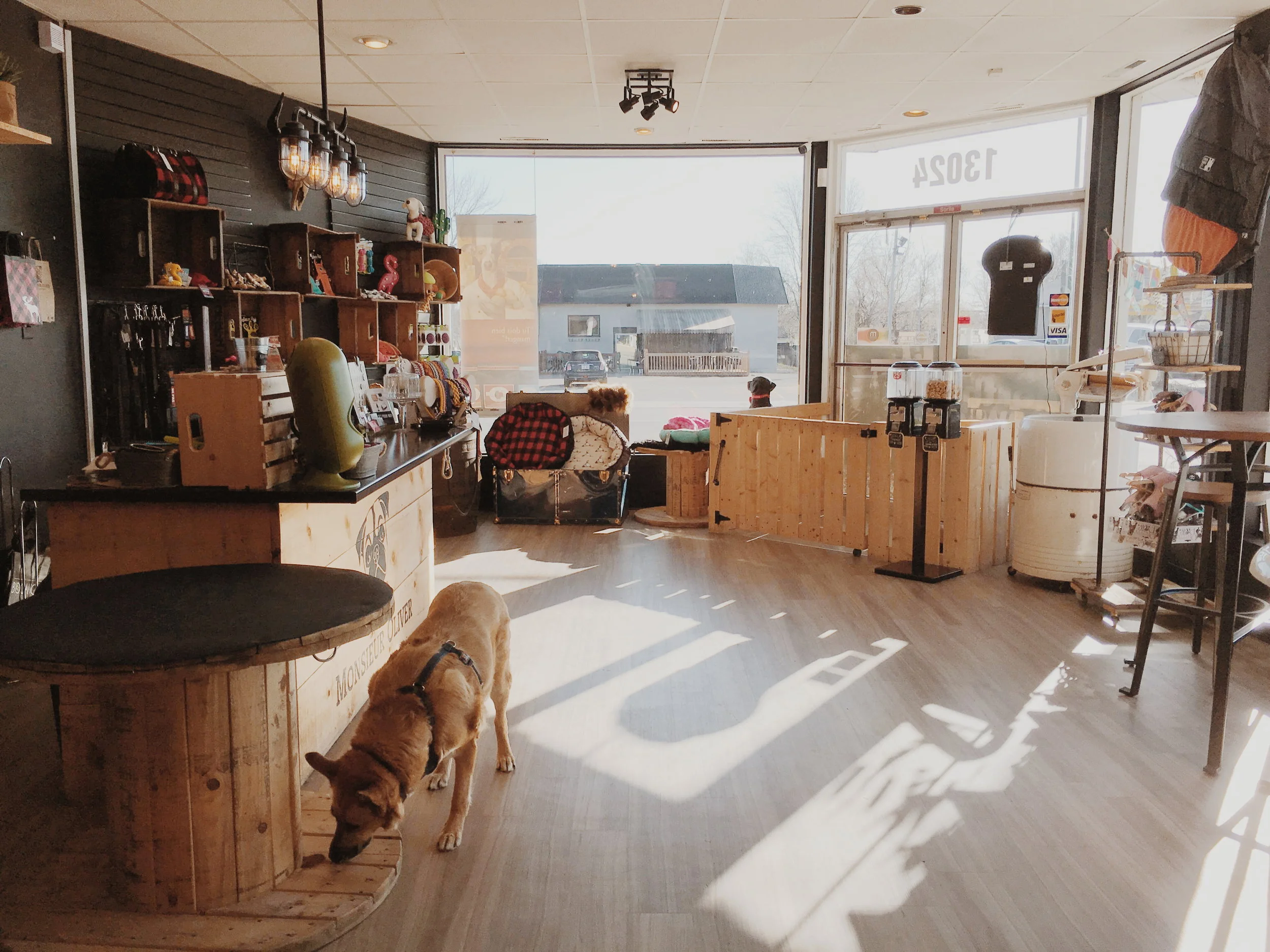 [Qc, Québec] Animalerie Monsieur Oliver - FERMÉ