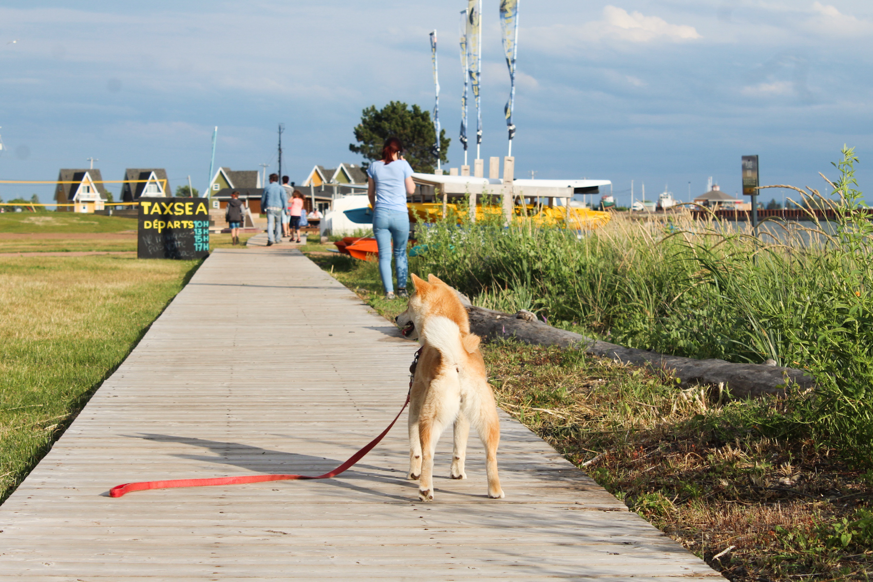 plage 4.jpg