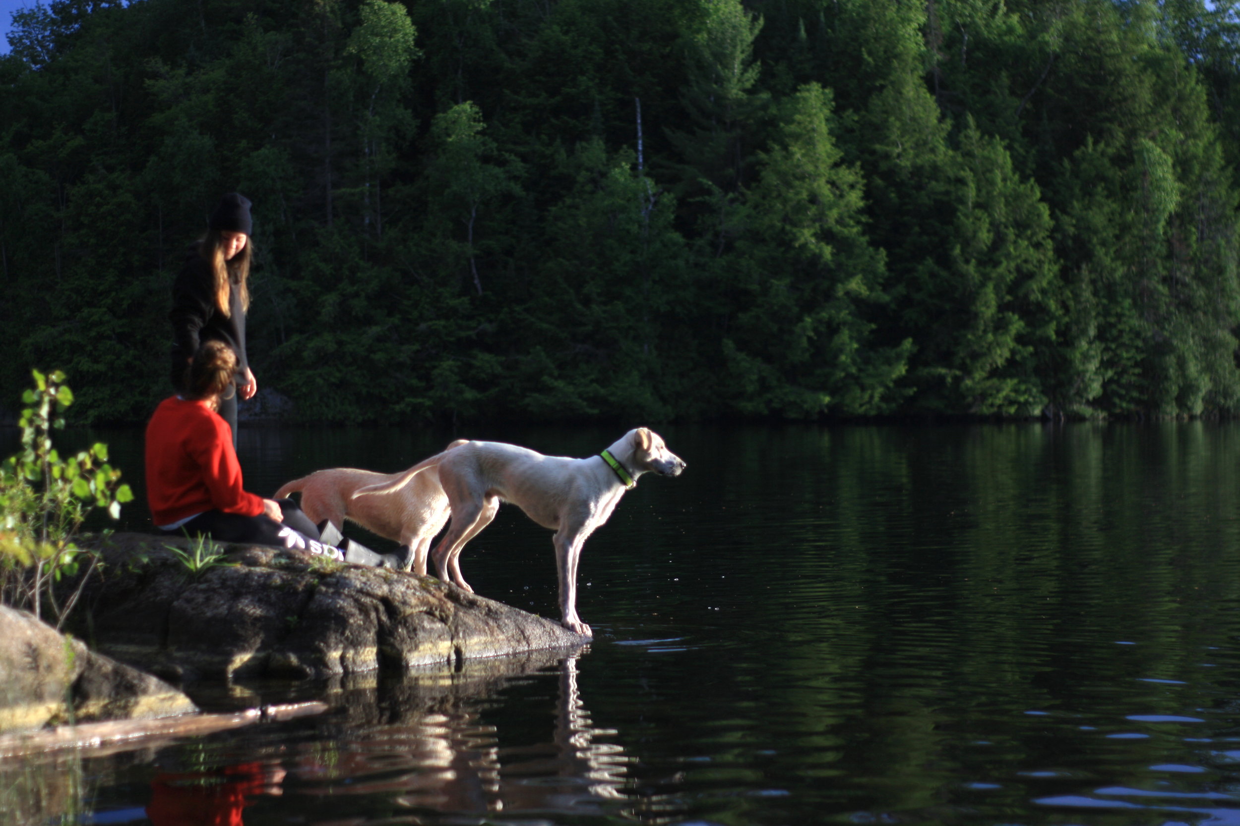 [Laurentides, Notre-Dame-du-Laus] Parc Régional du Poisson Blanc