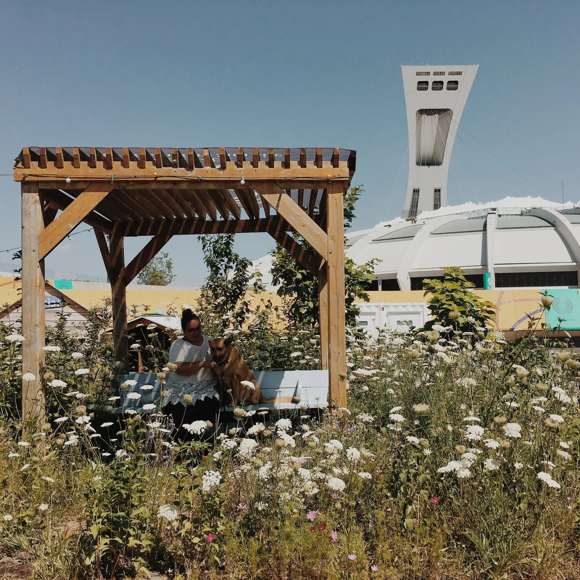 [Montréal, Hochelaga-Maisonneuve] Les jardineries