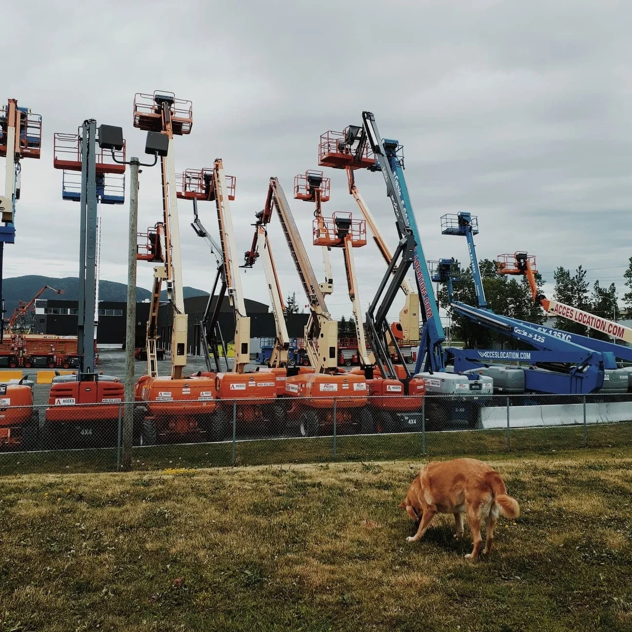 [Montérégie, Beloeil]  Parc à chiens Beloeil