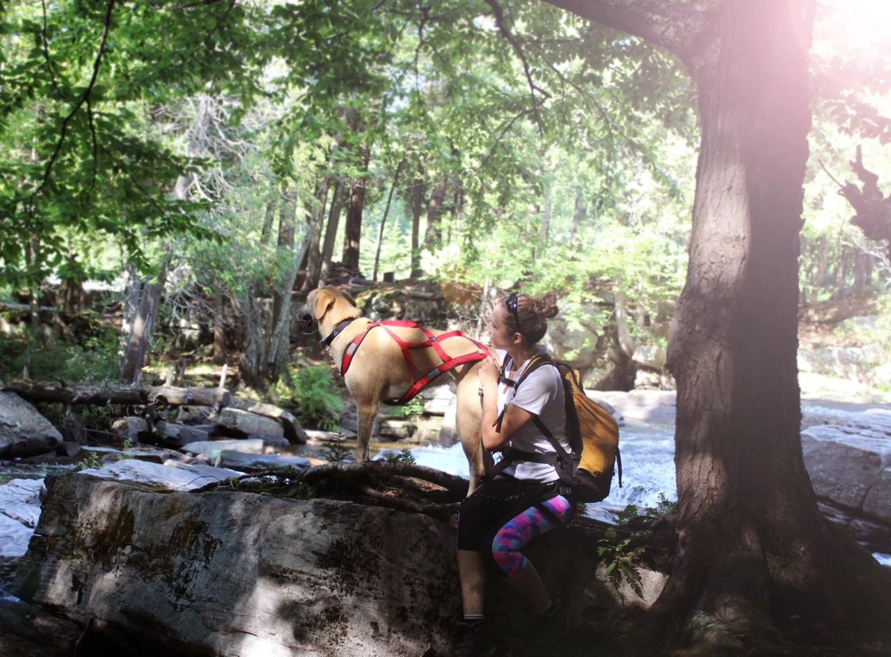 [Mauricie, Saint-Narcisse]  Parc de la Rivière Bastican