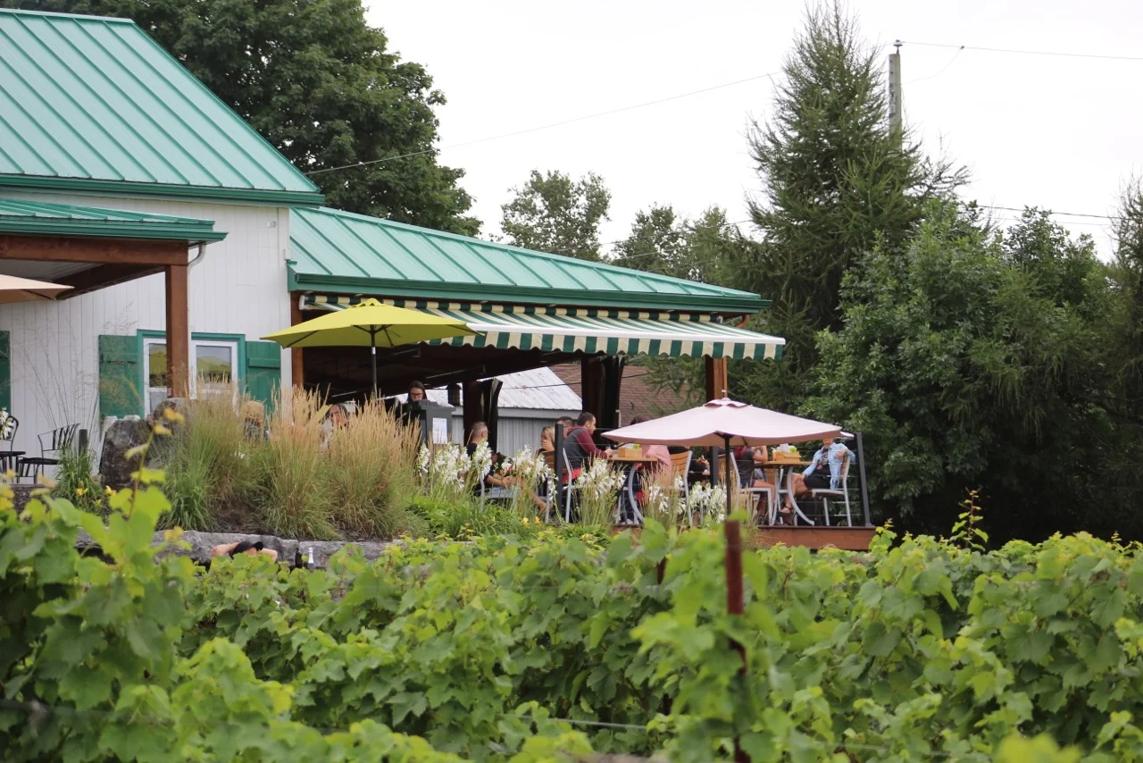 [Qc, Sainte-Pétronille] Vignoble Sainte-Pétronille