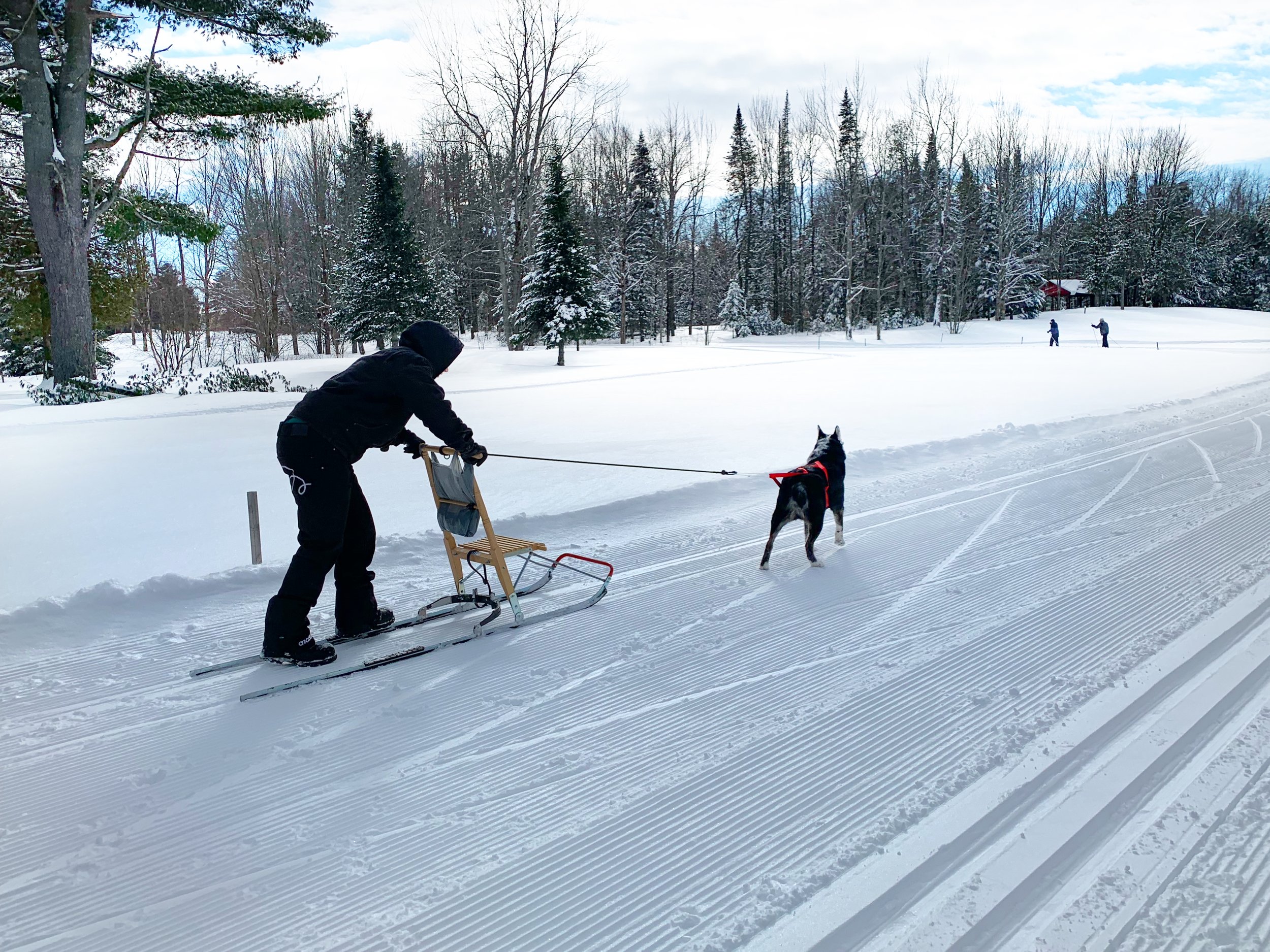 [Montérégie, Granby] Club De Golf Les Cedres