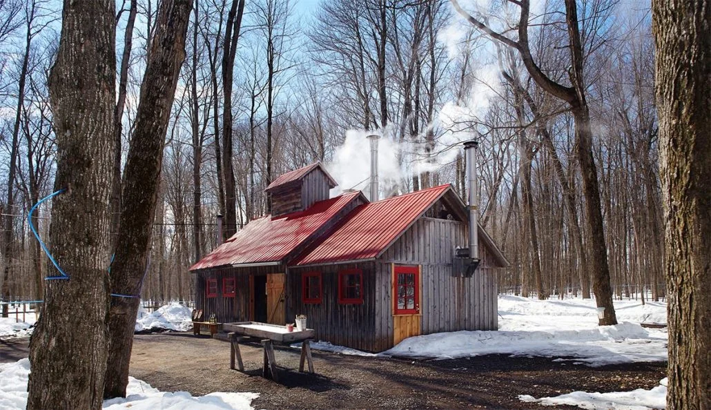Cabanes à sucre — On va se promener?