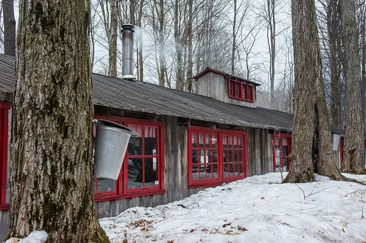 érablière Réal Bruneau St Henri De Lévis