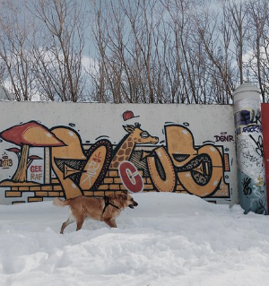 Parc à chien Falco