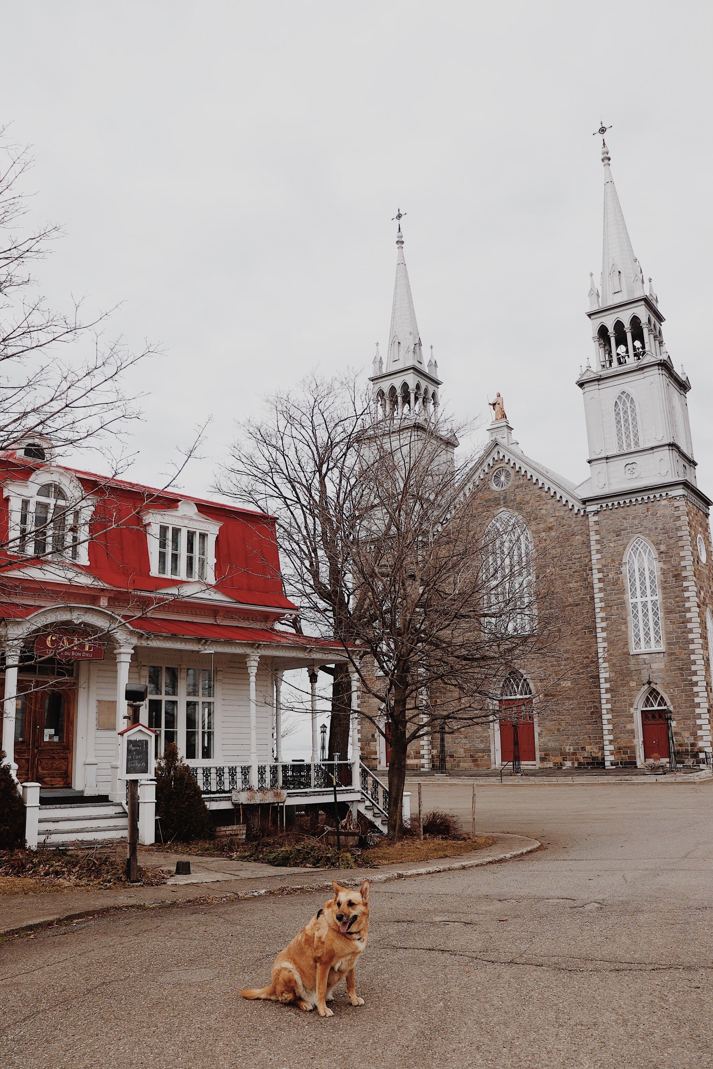 [ChaudièreAppalaches, SaintRochdesAulnaies] Halte du Bon Dieu — On