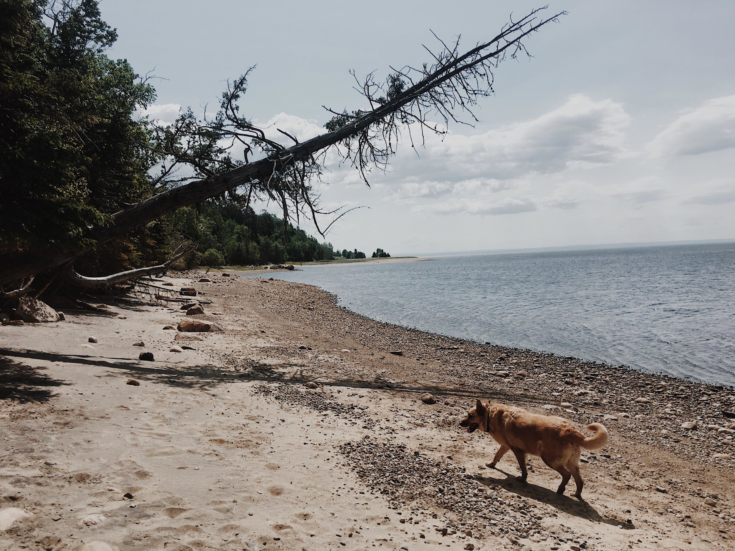 [Québec, La Malbaie] Plage secrète de la Malbaie — On va se promener?