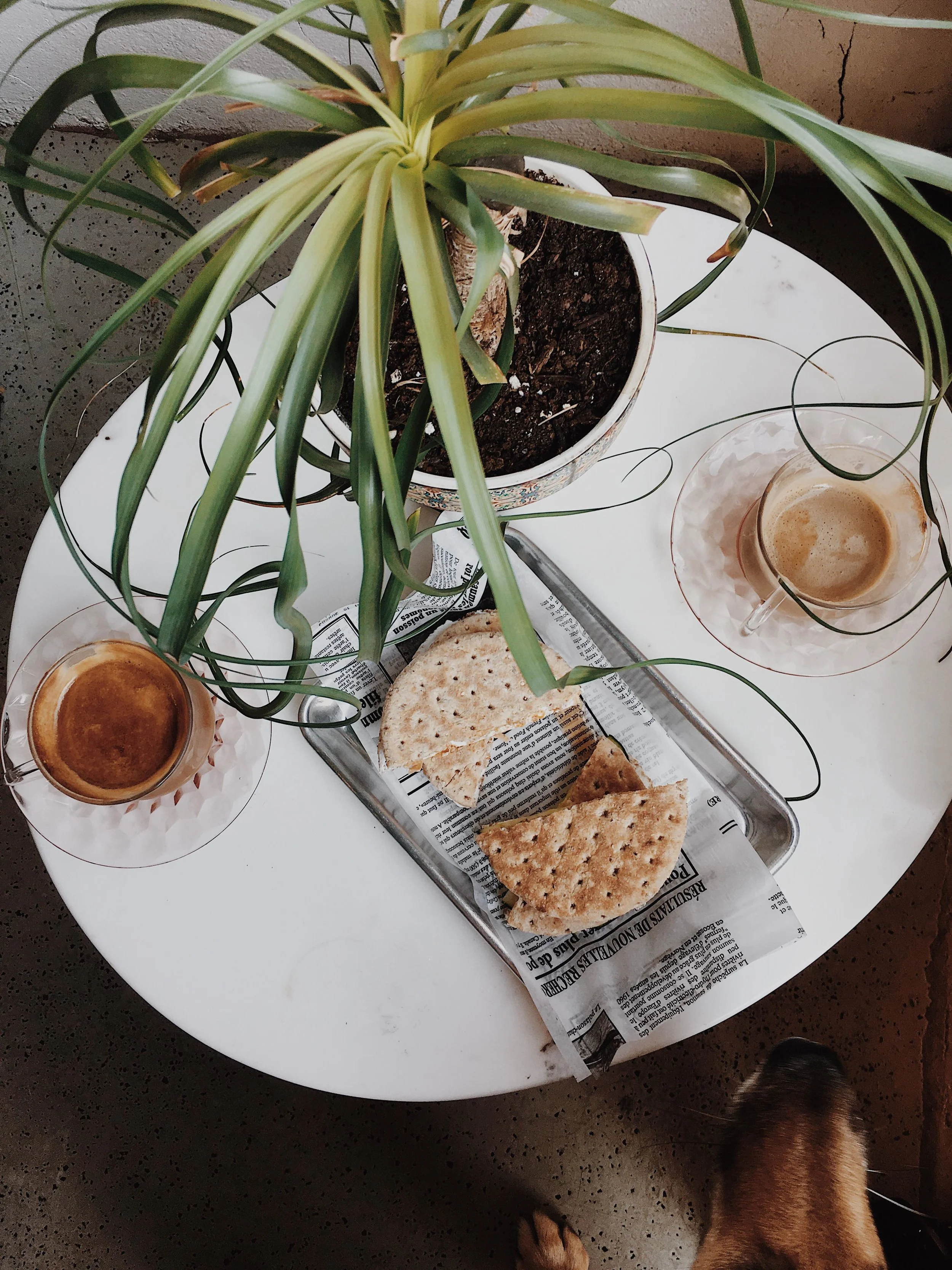 FERMÉ EN JUILLET 2024 [Montréal, Vieux-Montréal] Cafecito