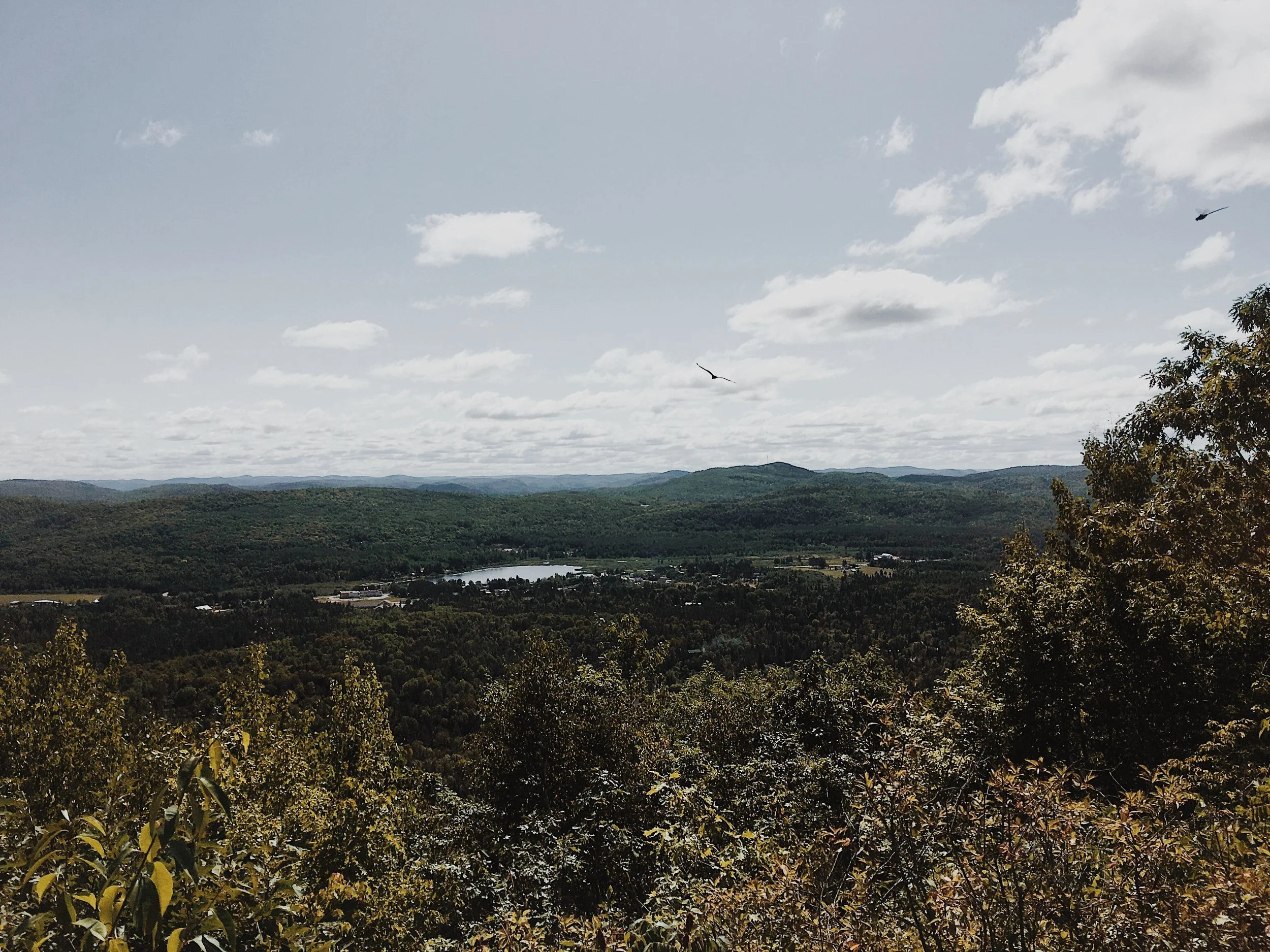 [Laurentides, StRémi d'Ahmerst] Tour à Feu — On va se promener?