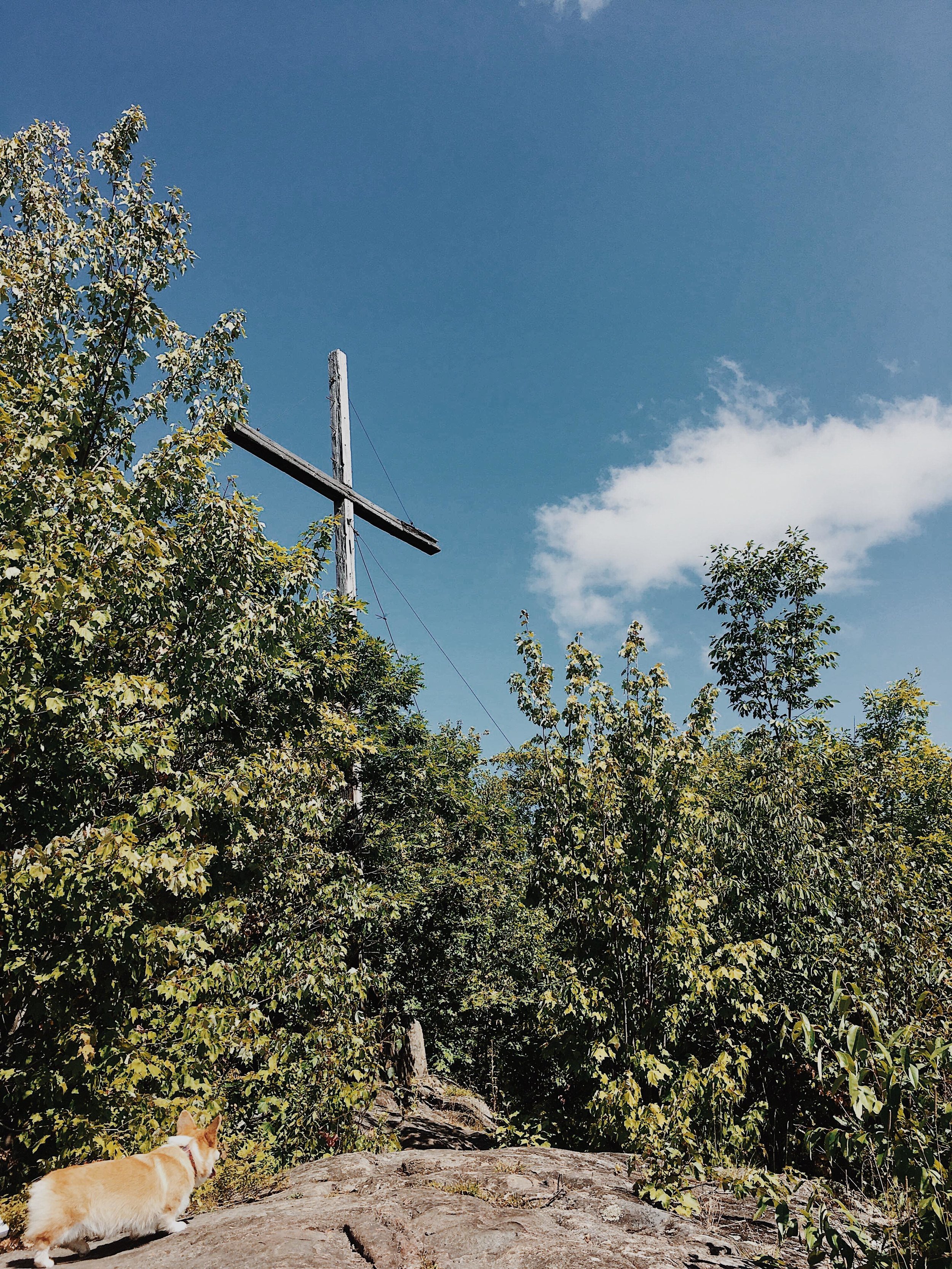 [Laurentides, StRémi d'Ahmerst] Tour à Feu — On va se promener?