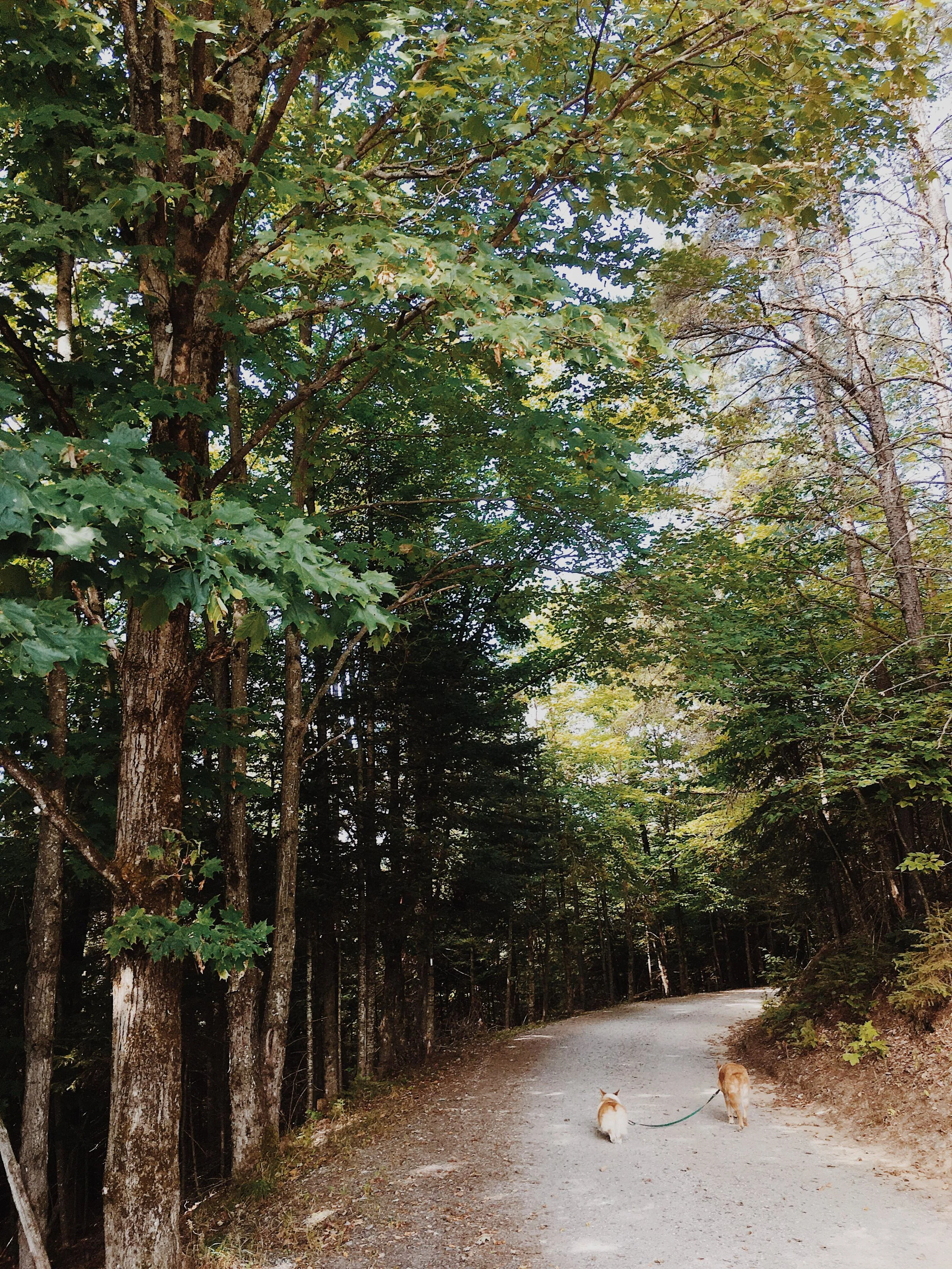 [Laurentides, Huberdeau] Le Calvaire d'Huberdeau — On va se promener?