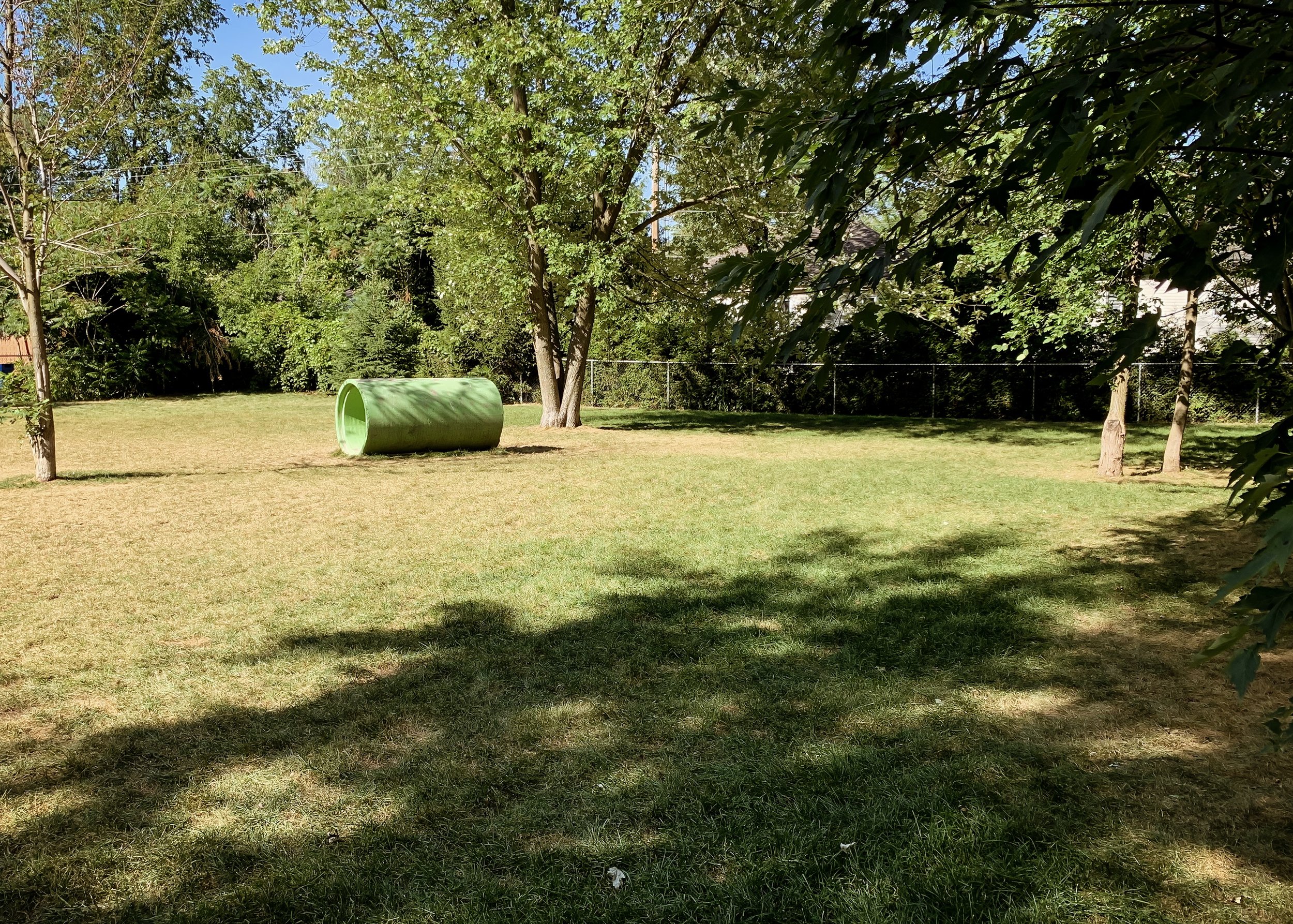 image4.jpeg