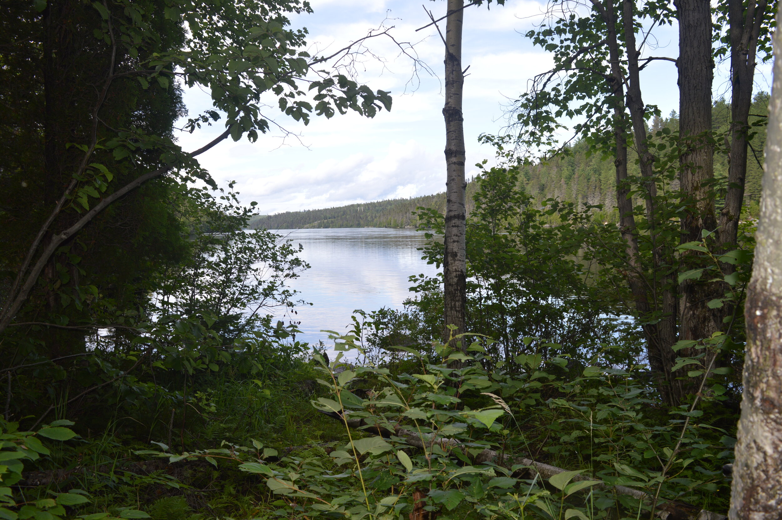 DSC_0045.JPG