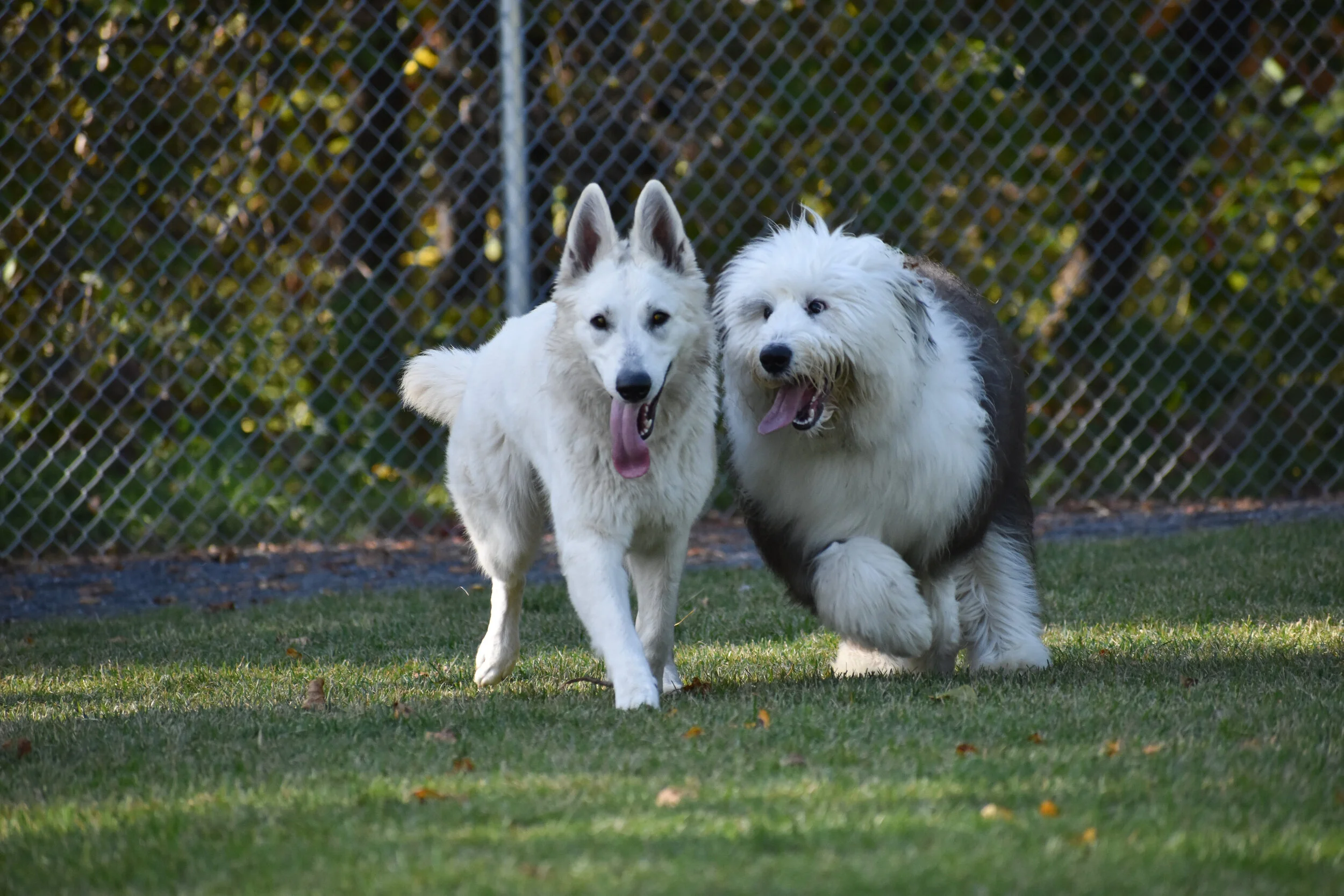 DSC_0061_edited.jpg