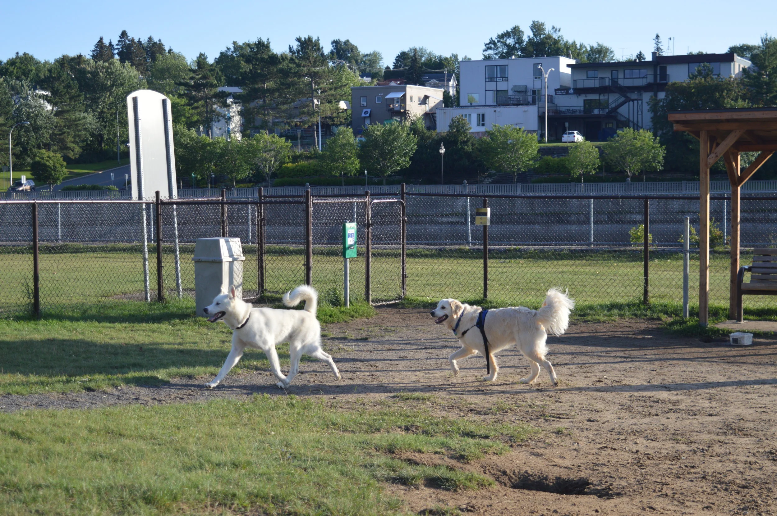 [Saguenay-Lac St-Jean, Alma] Parc canin d'Alma - DÉMÉNAGÉ