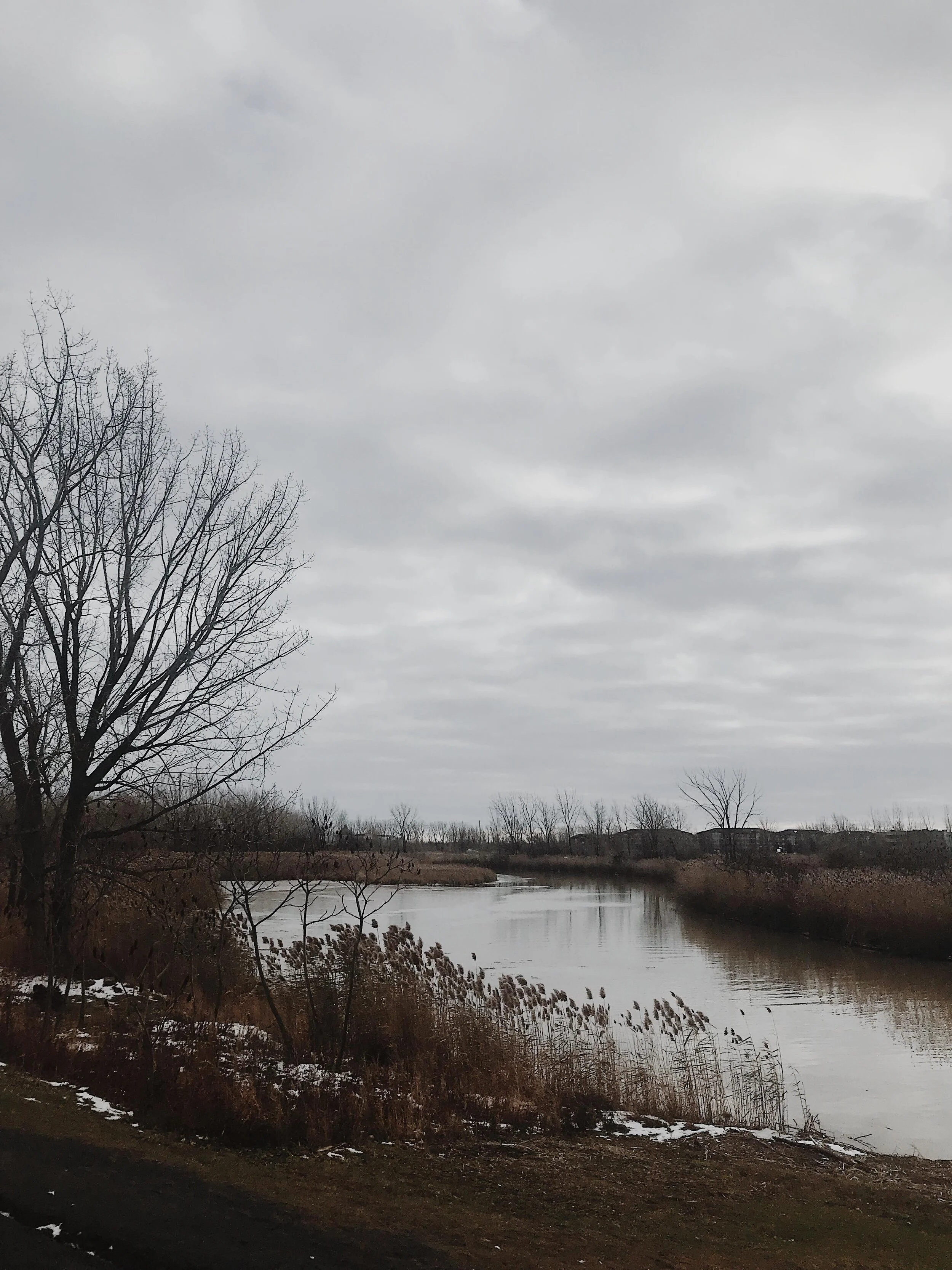 [Montérégie, Brossard] Parc Radisson et sentier mutlifonctionnel — On ...