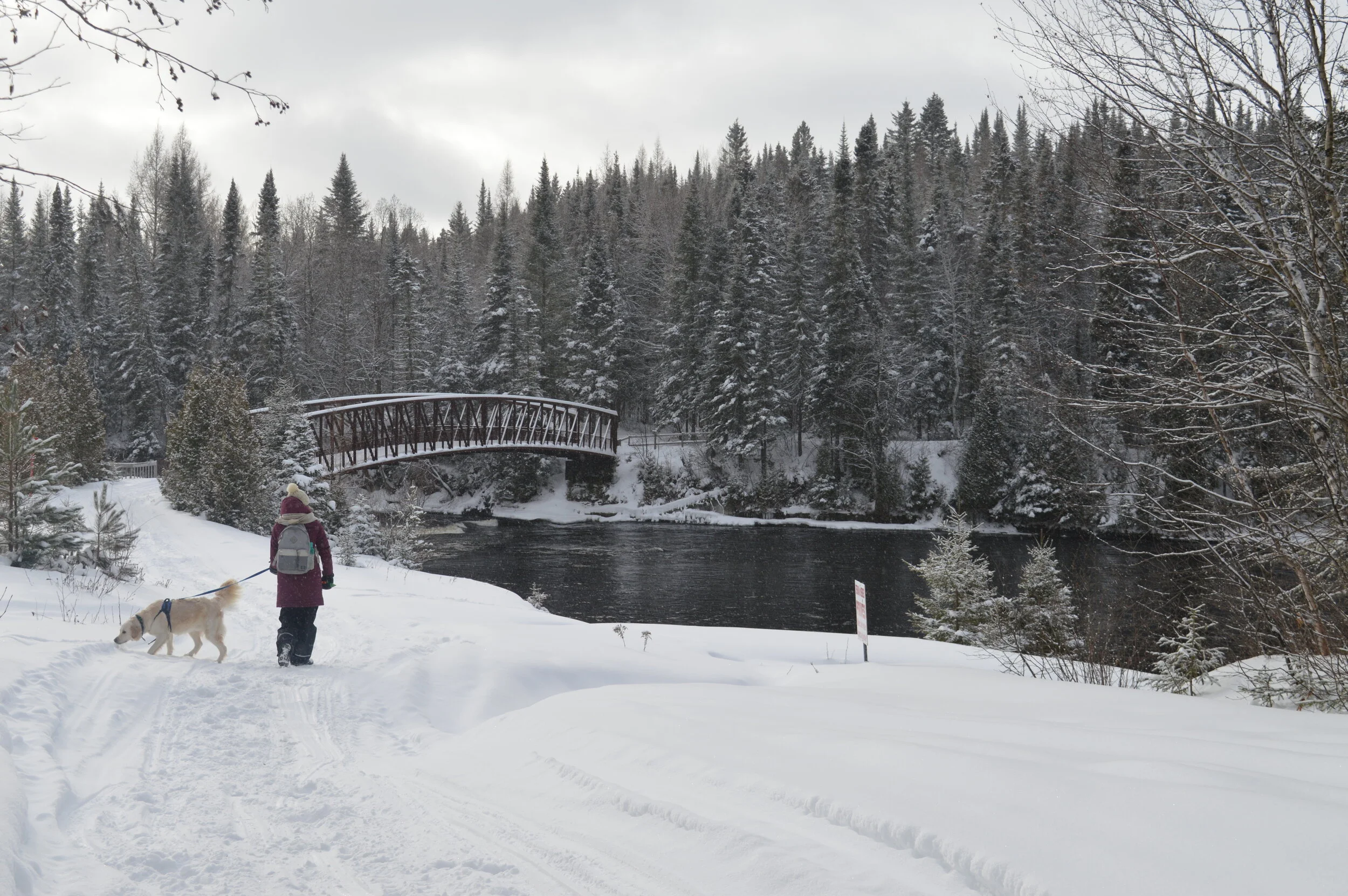 [SaguenayLacSaintJean, SaintDaviddeFalardeau] Rivière Shipshaw et