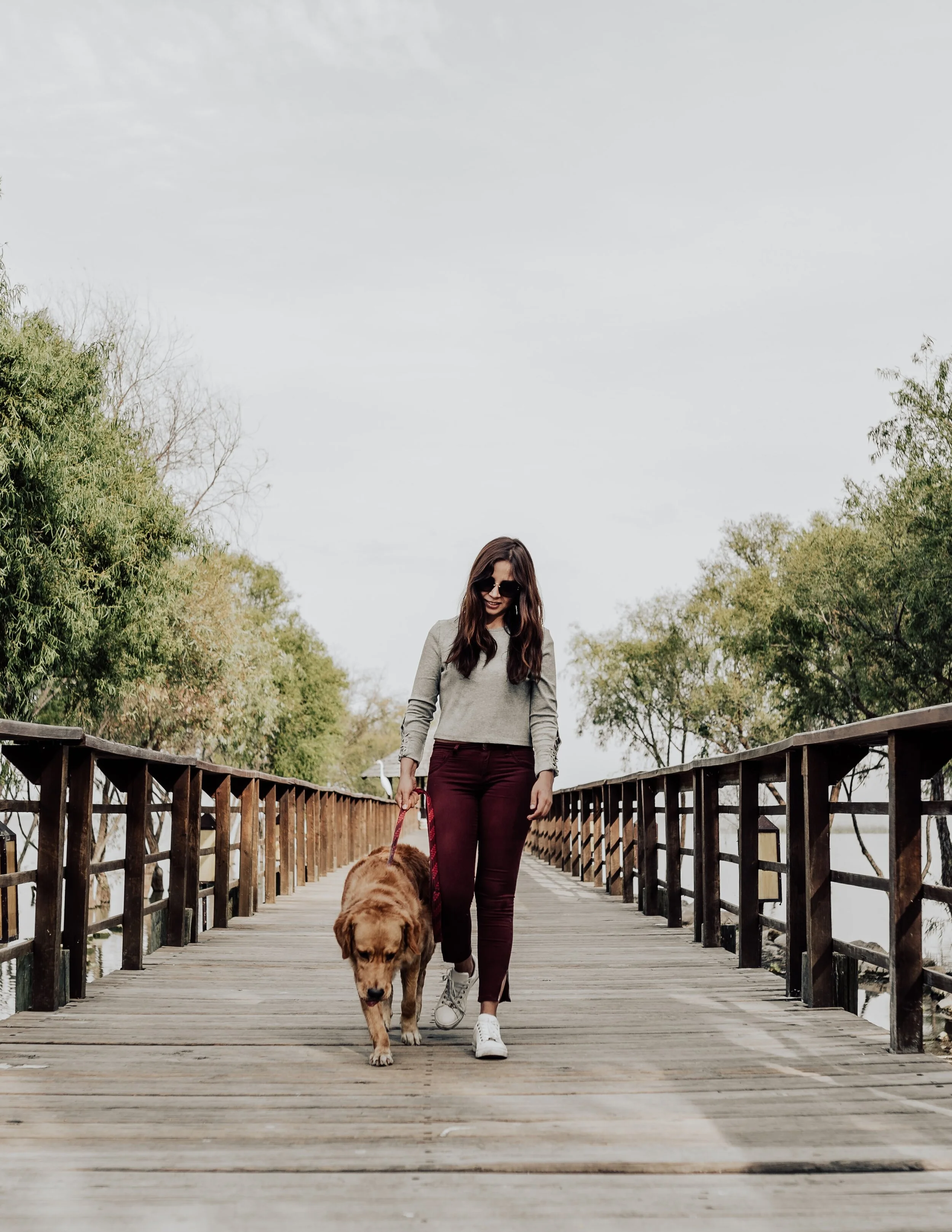 3 techniques pour améliorer la marche en laisse