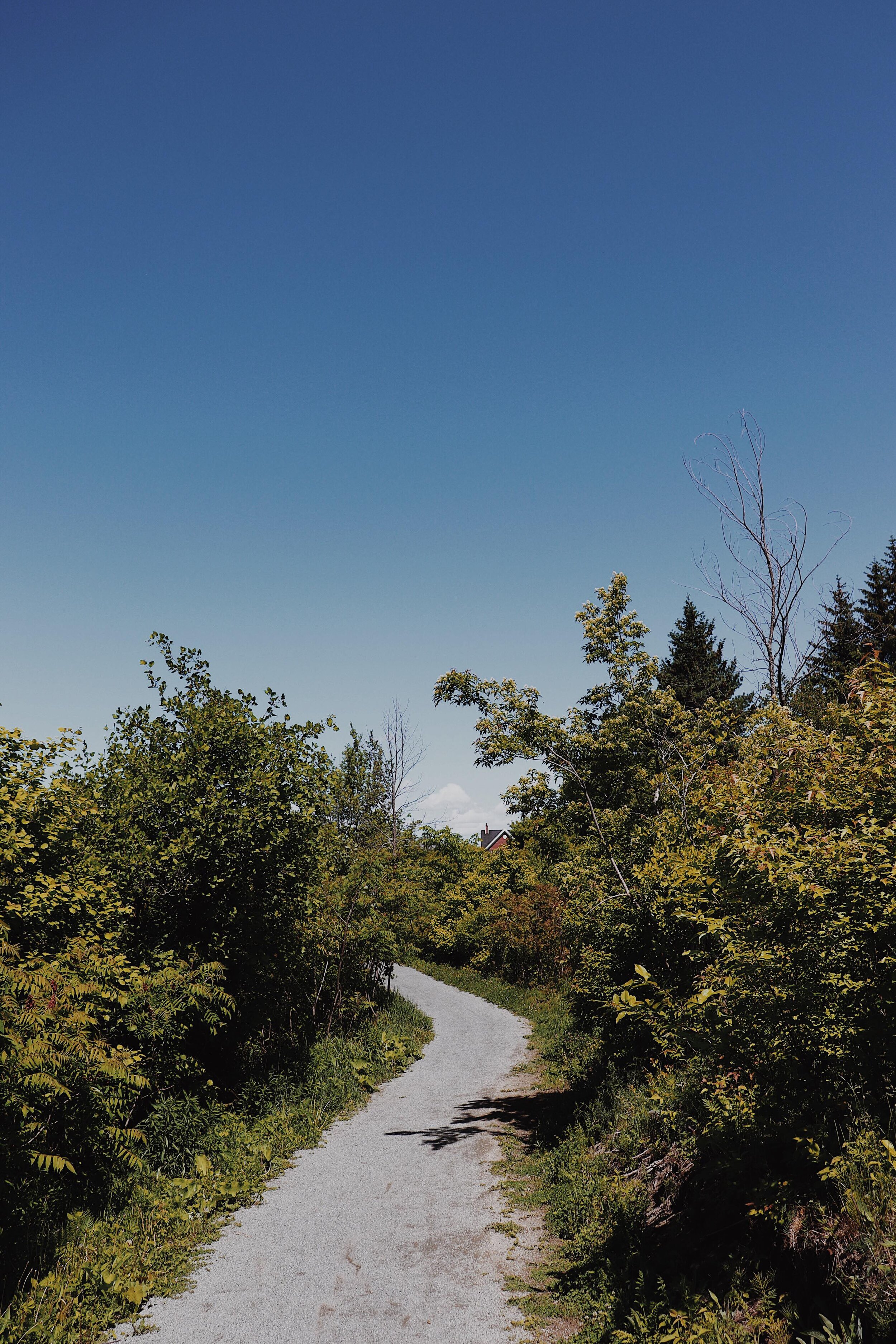 [Montérégie, Mont SaintHilaire] Parc de la Gare — On va se promener?