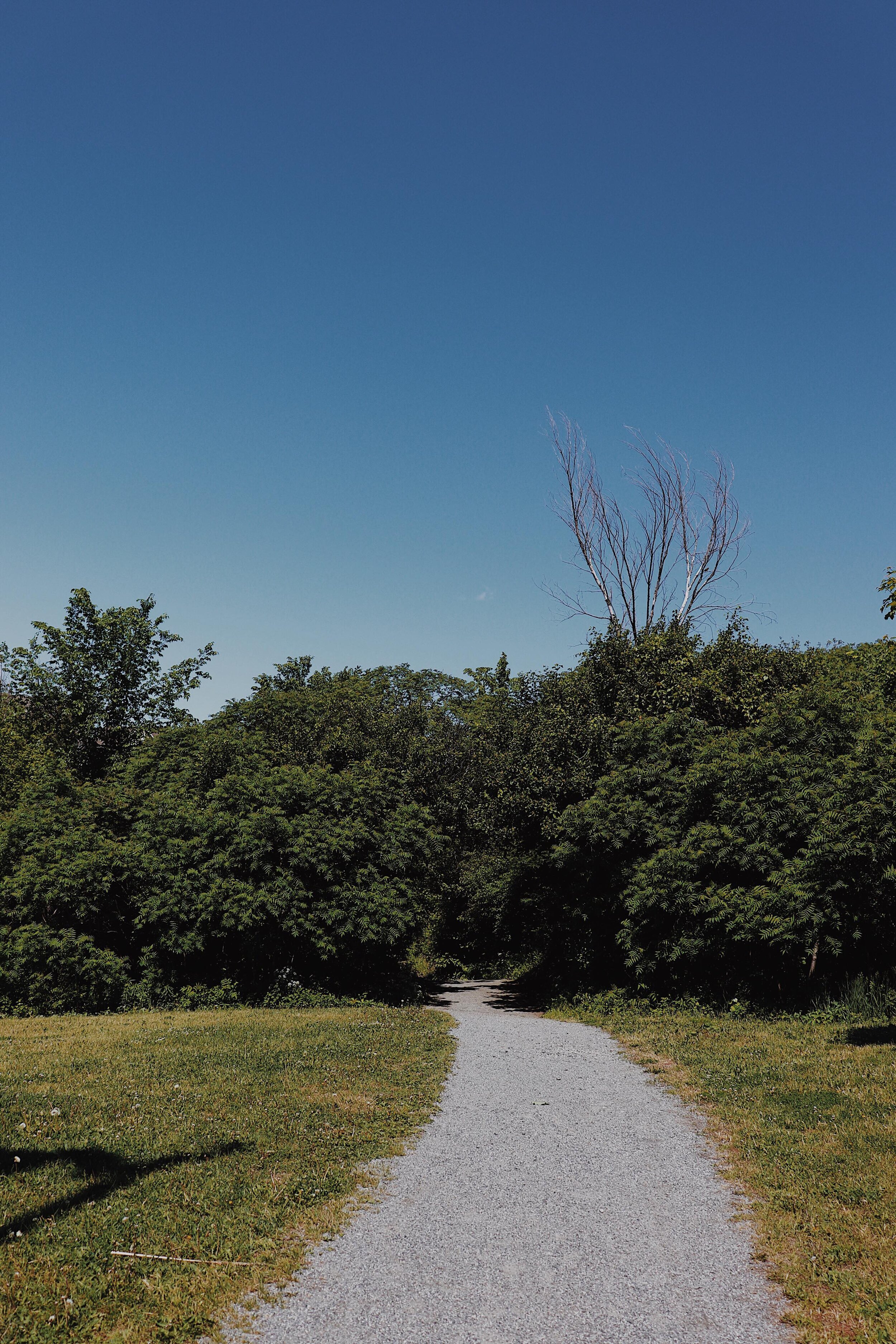 [Montérégie, Mont SaintHilaire] Parc de la Gare — On va se promener?