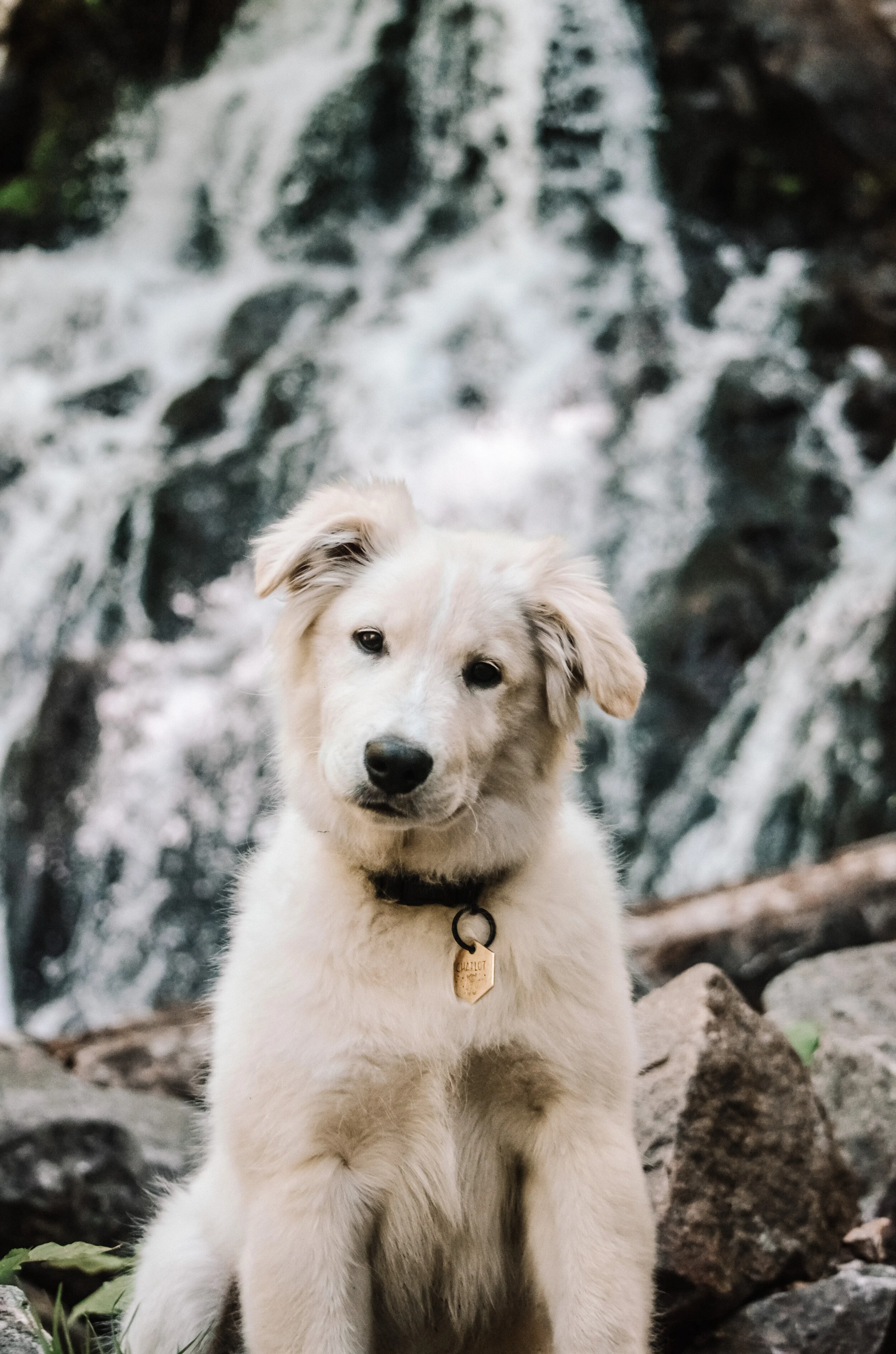   [Outaouais, Denholm] Parc des chutes de Denholm  