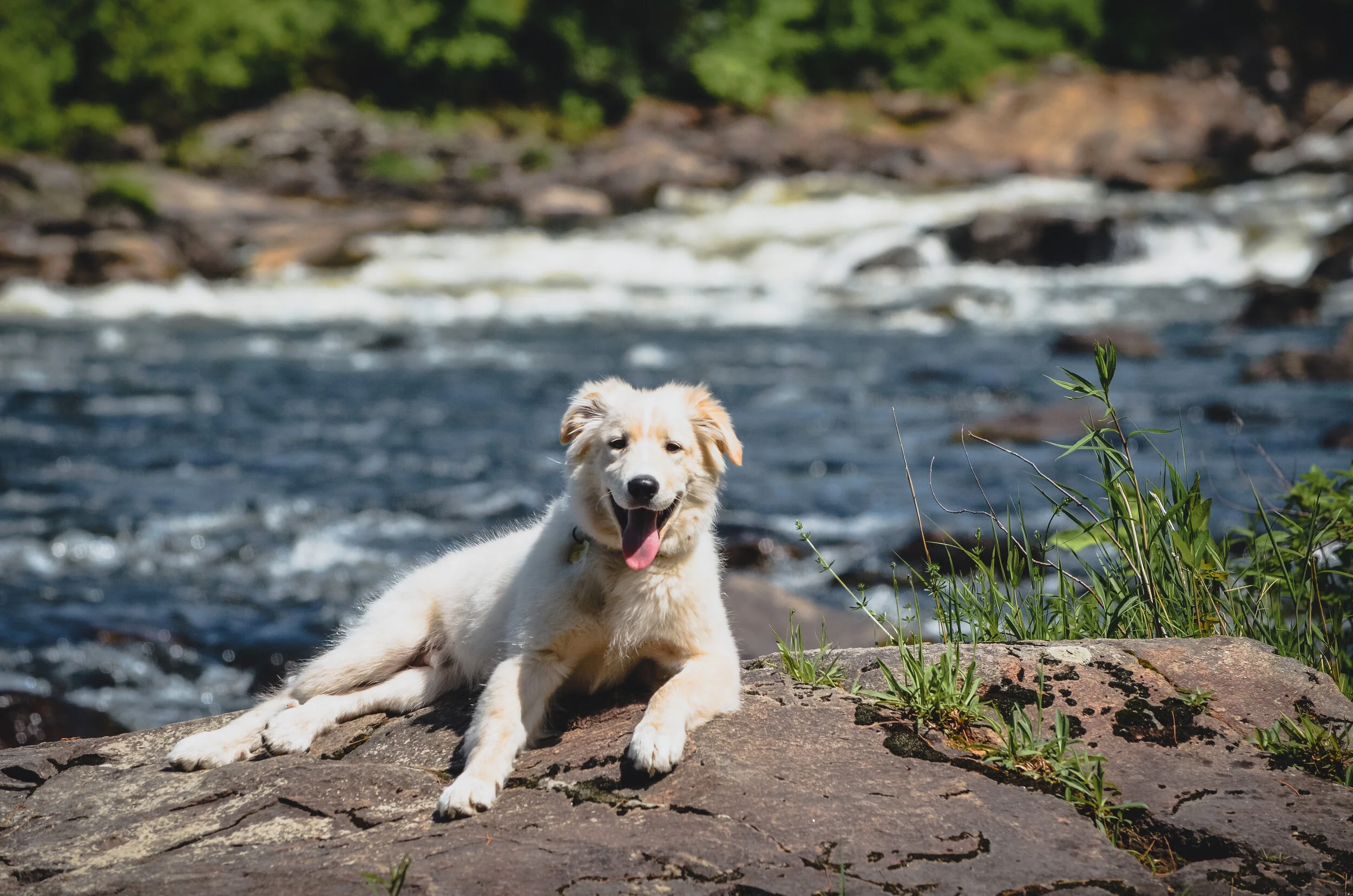 [Outaouais, Plaisance] Patrimoine des Chutes de Plaisance