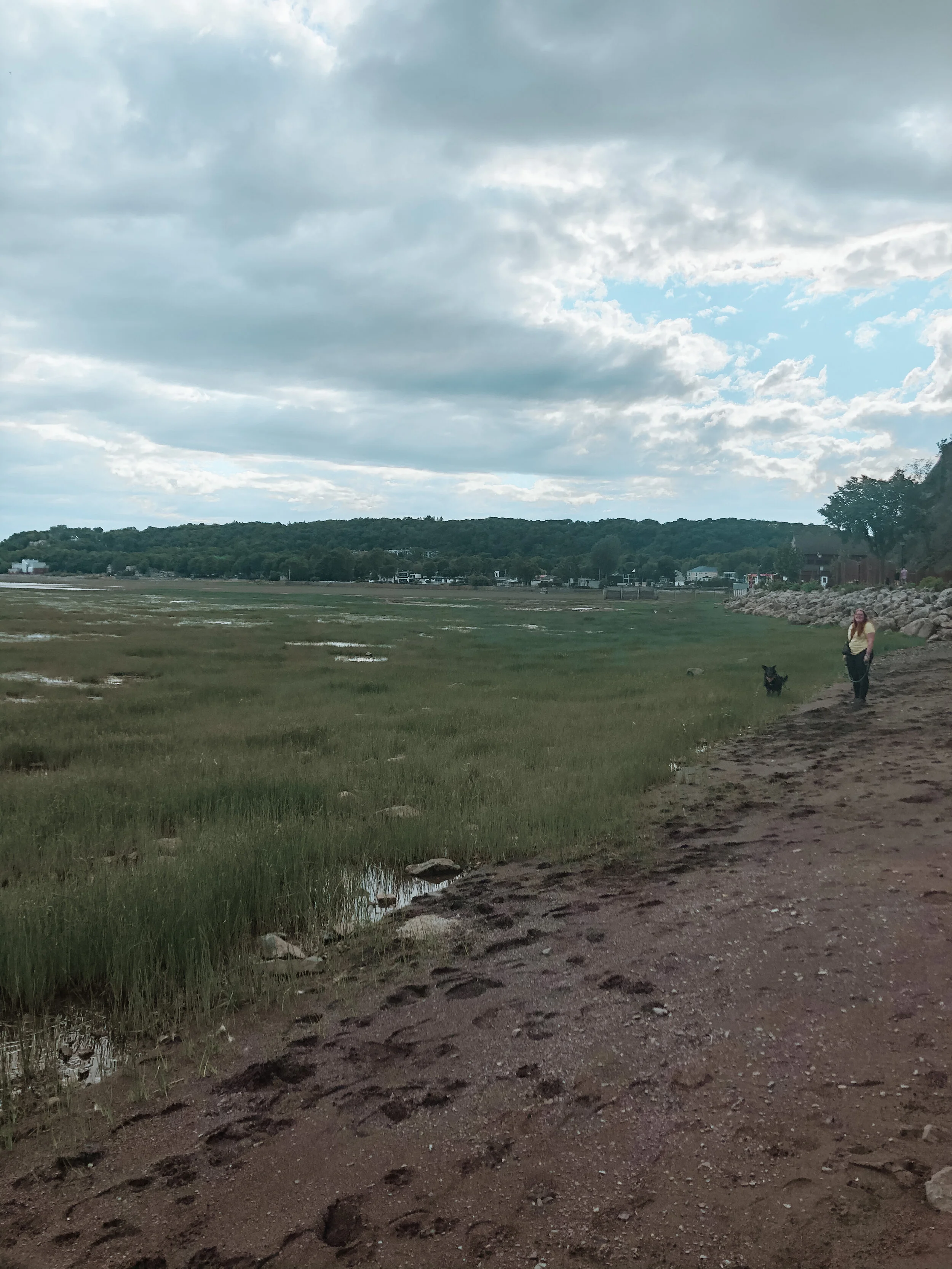 4080 Chemin De La Plage Jacques Cartier