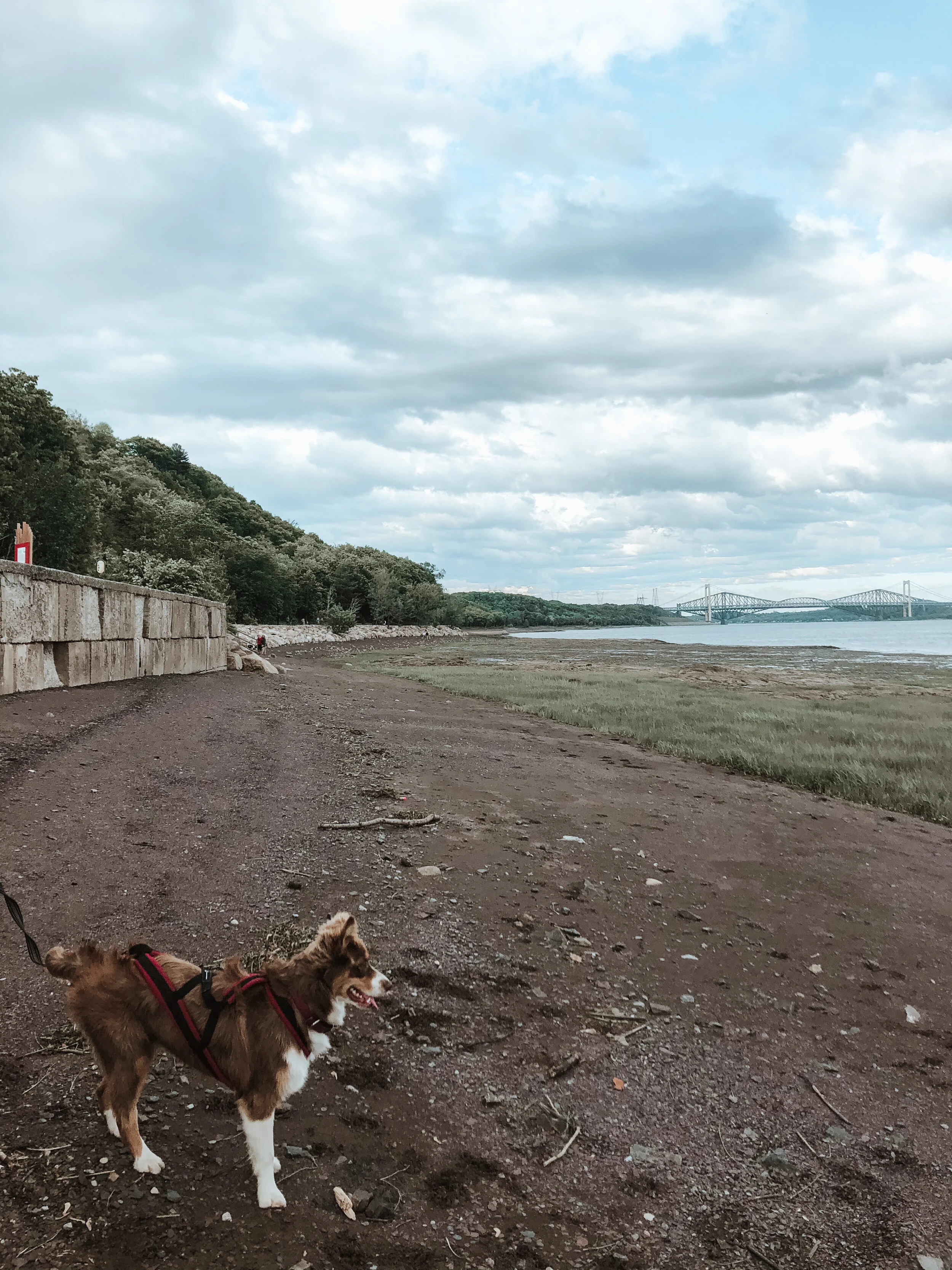 4080 Chemin De La Plage Jacques Cartier