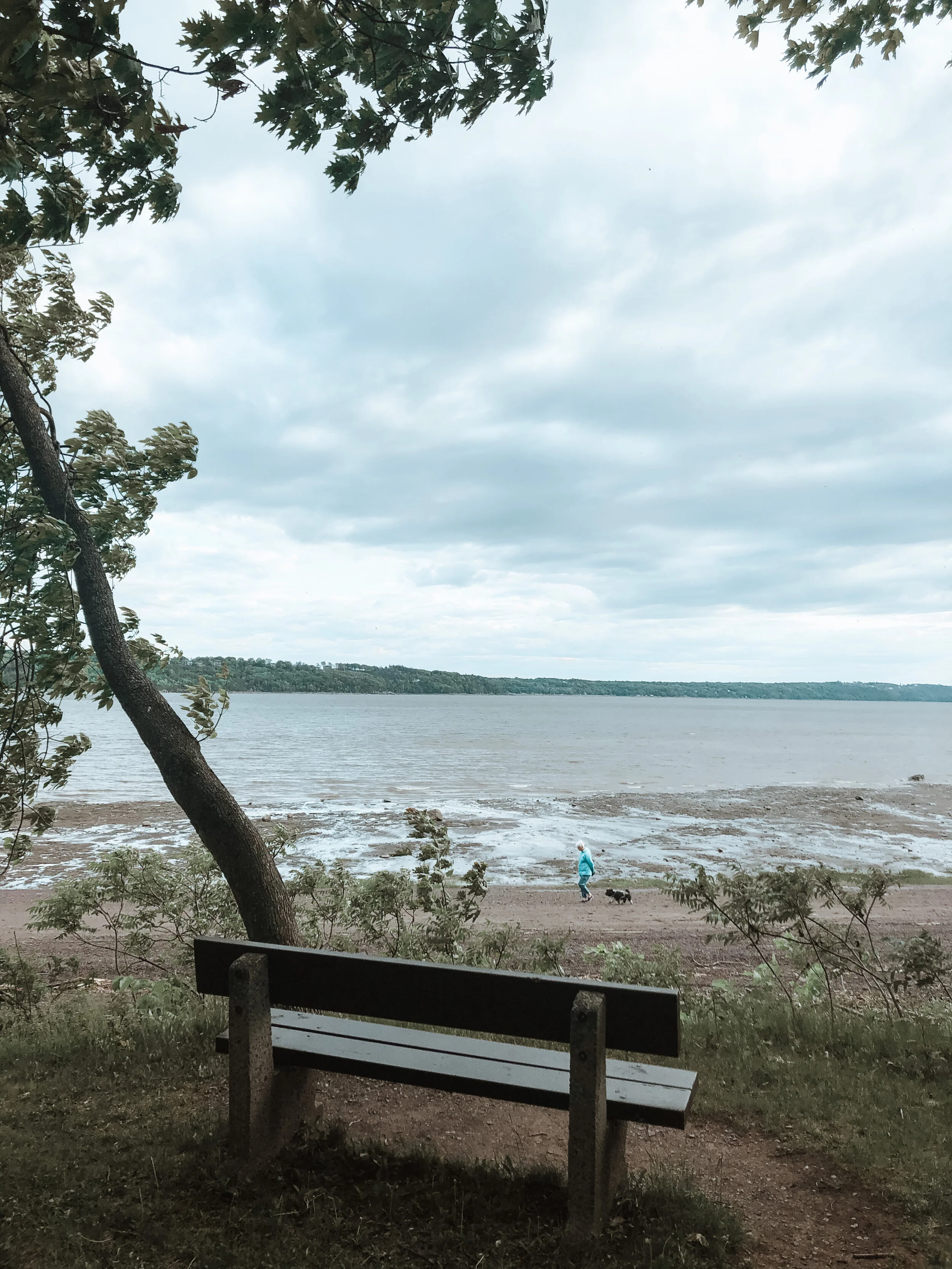 4080 Chemin De La Plage Jacques Cartier