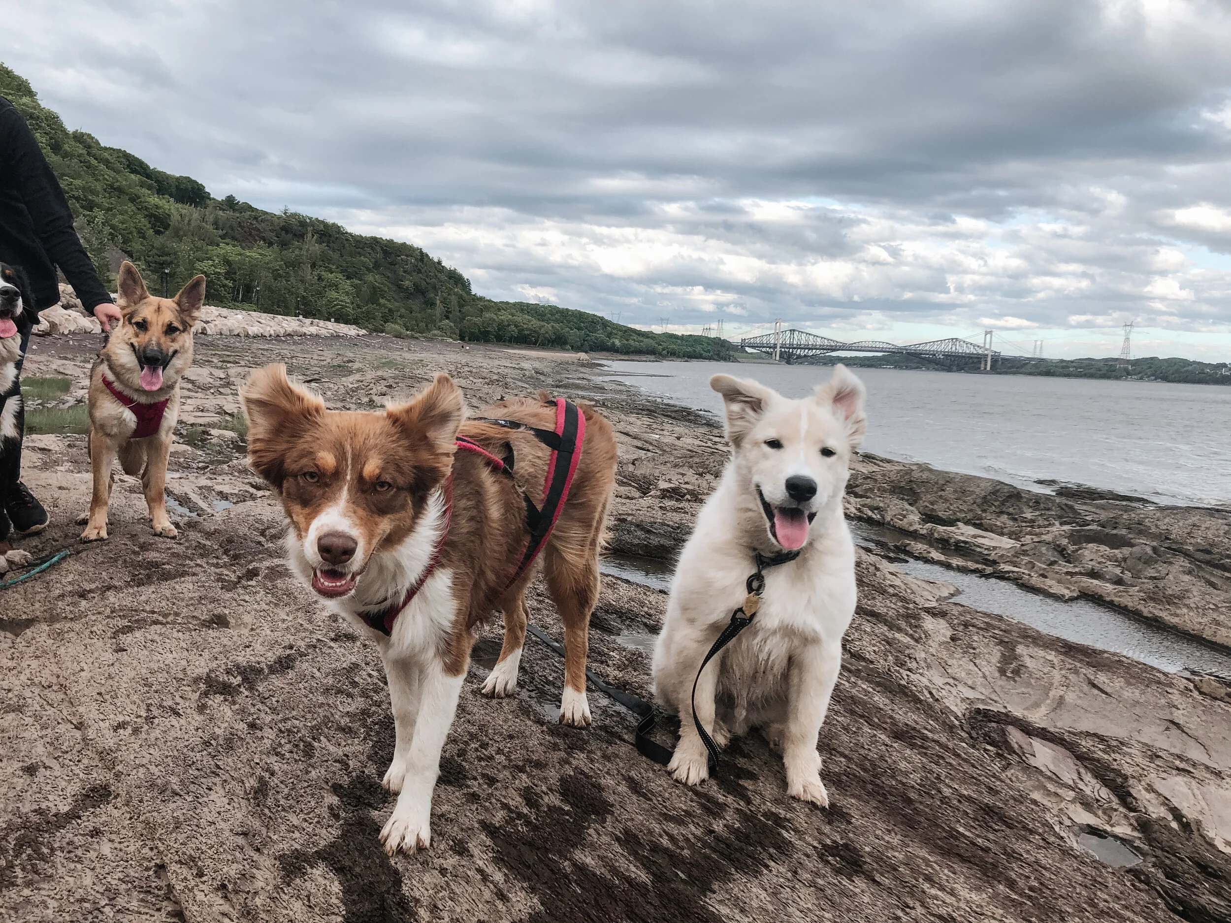 [Québec, Québec] Parc de la Plage-Jacques-Cartier