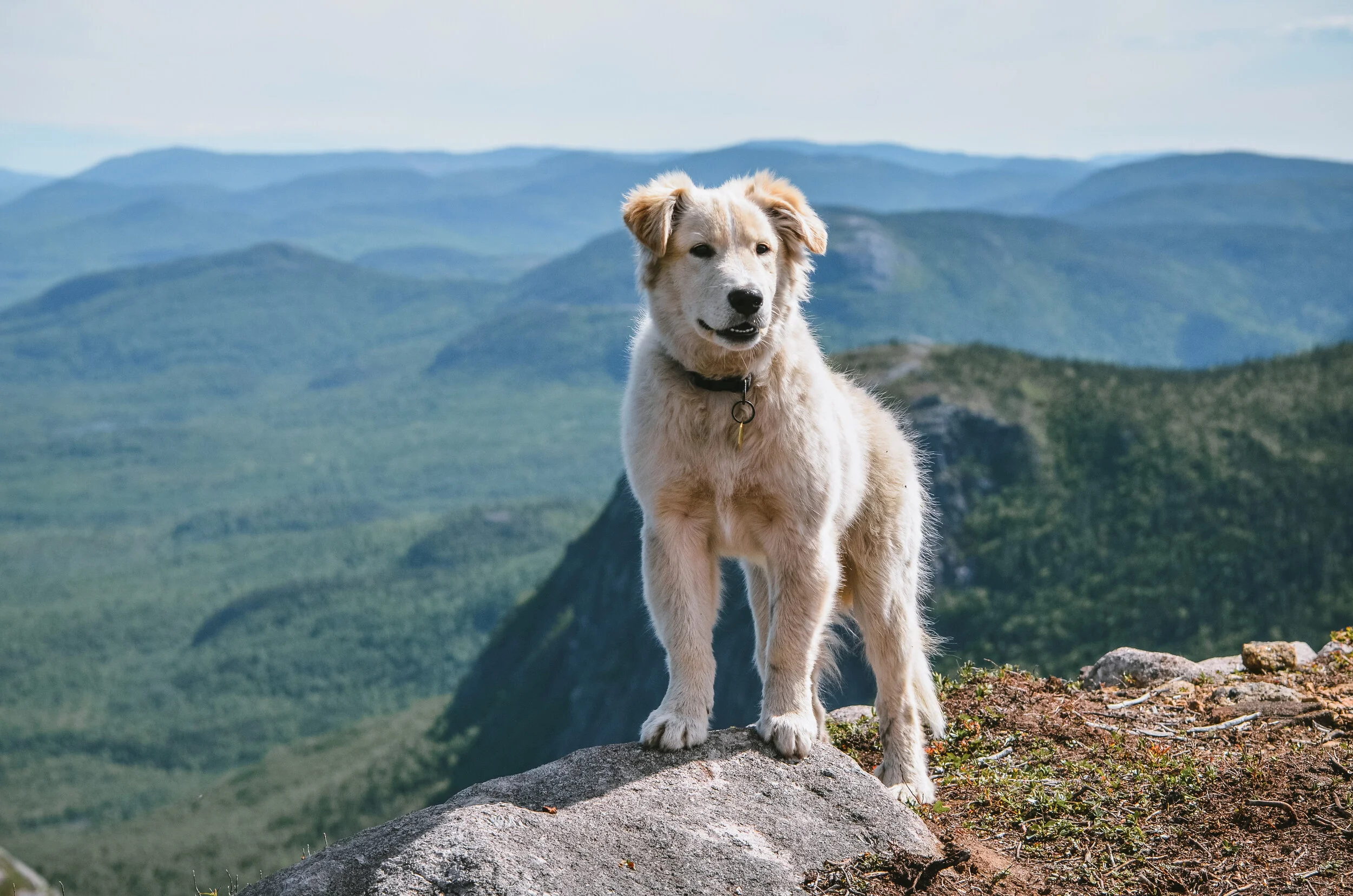 [Québec, St-Urbain] Mont Saint-Michel, ZEC des Martres