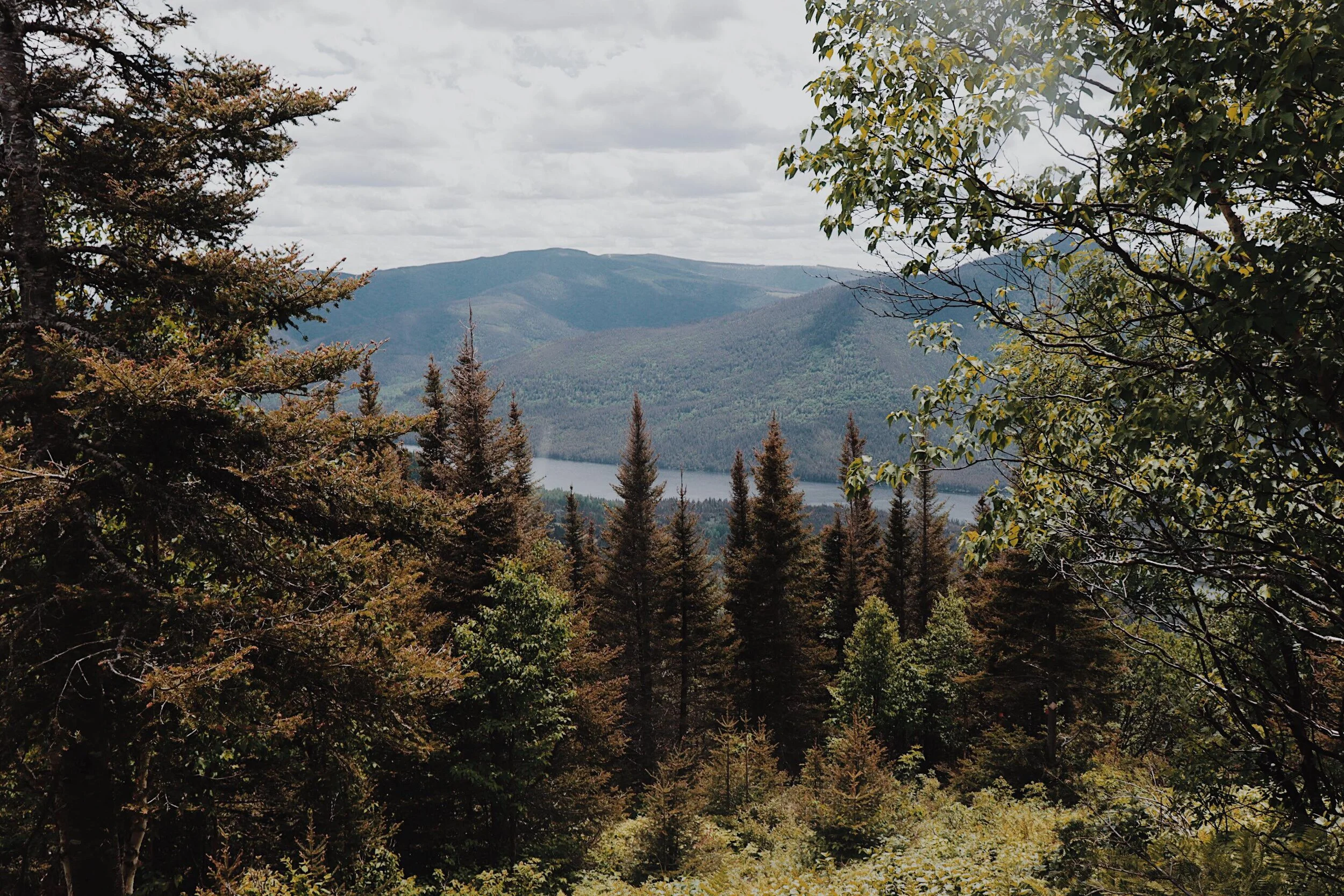 [GaspésieÎlesdelaMadelaine, Murdochville] Mont VallièresdeSaint