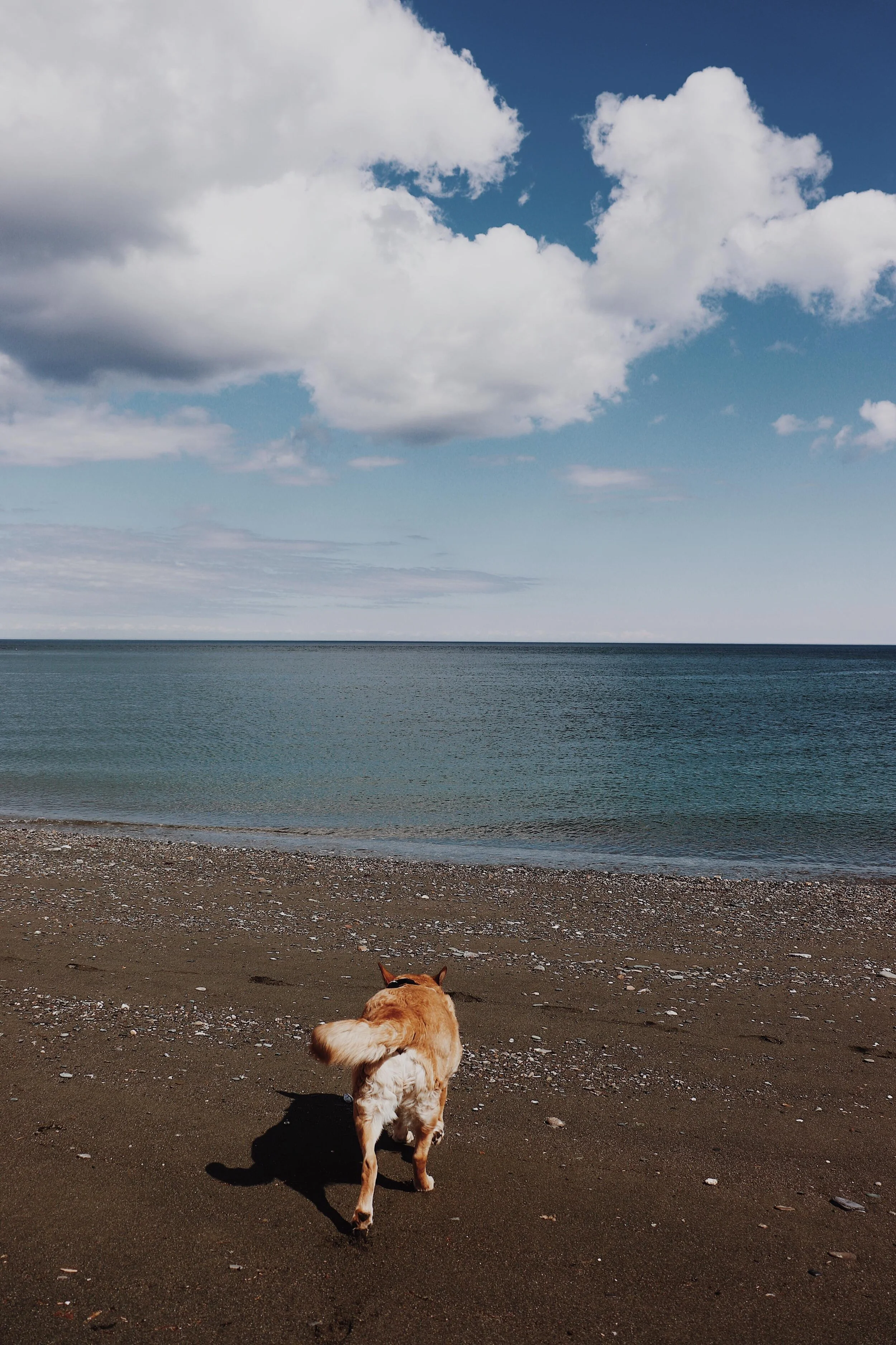 Gaspesie Iles De La Madeleine Cap Chat Plage De Cap Chat On Va Se Promener