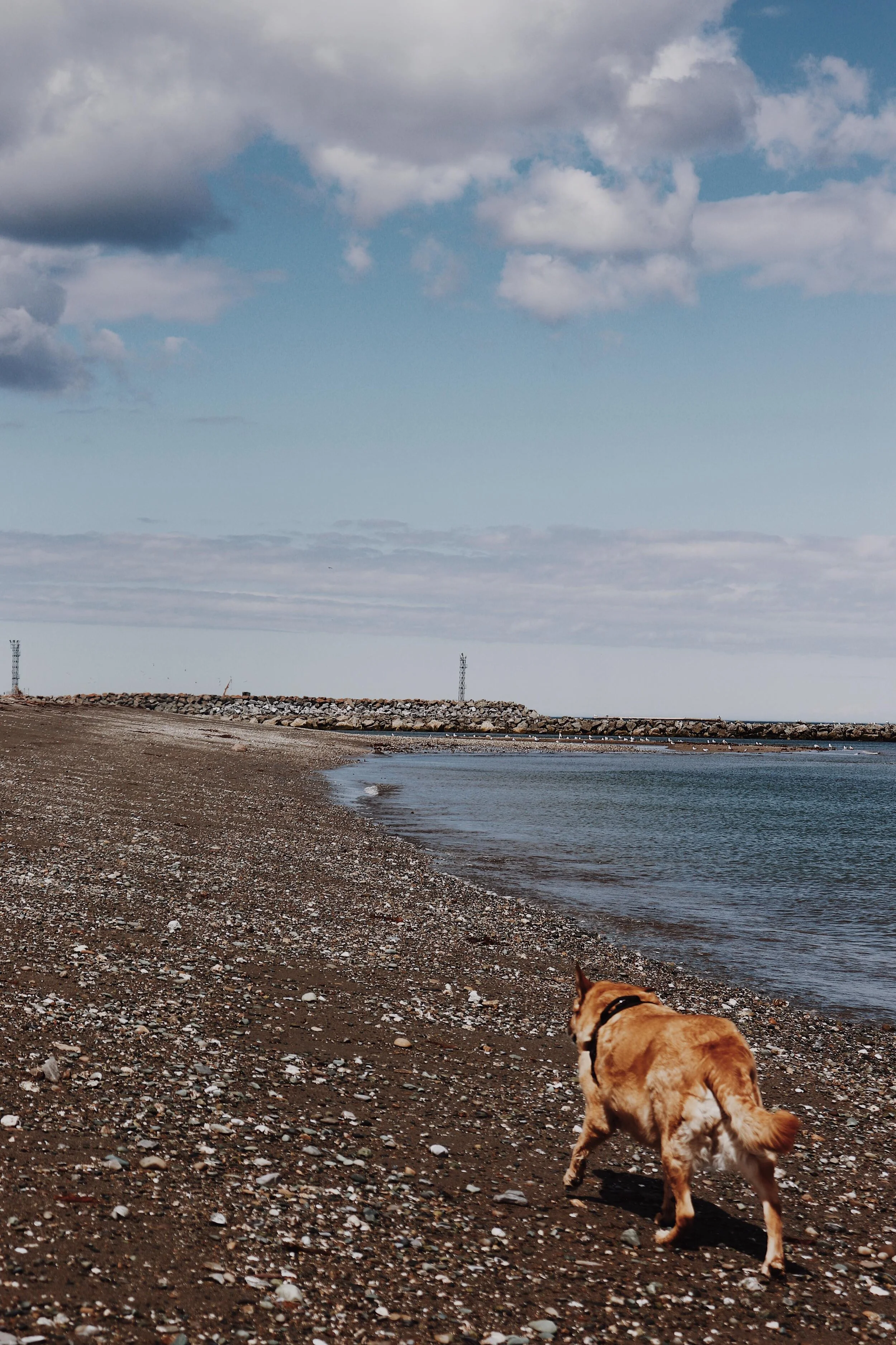 Gaspesie Iles De La Madeleine Cap Chat Plage De Cap Chat On Va Se Promener