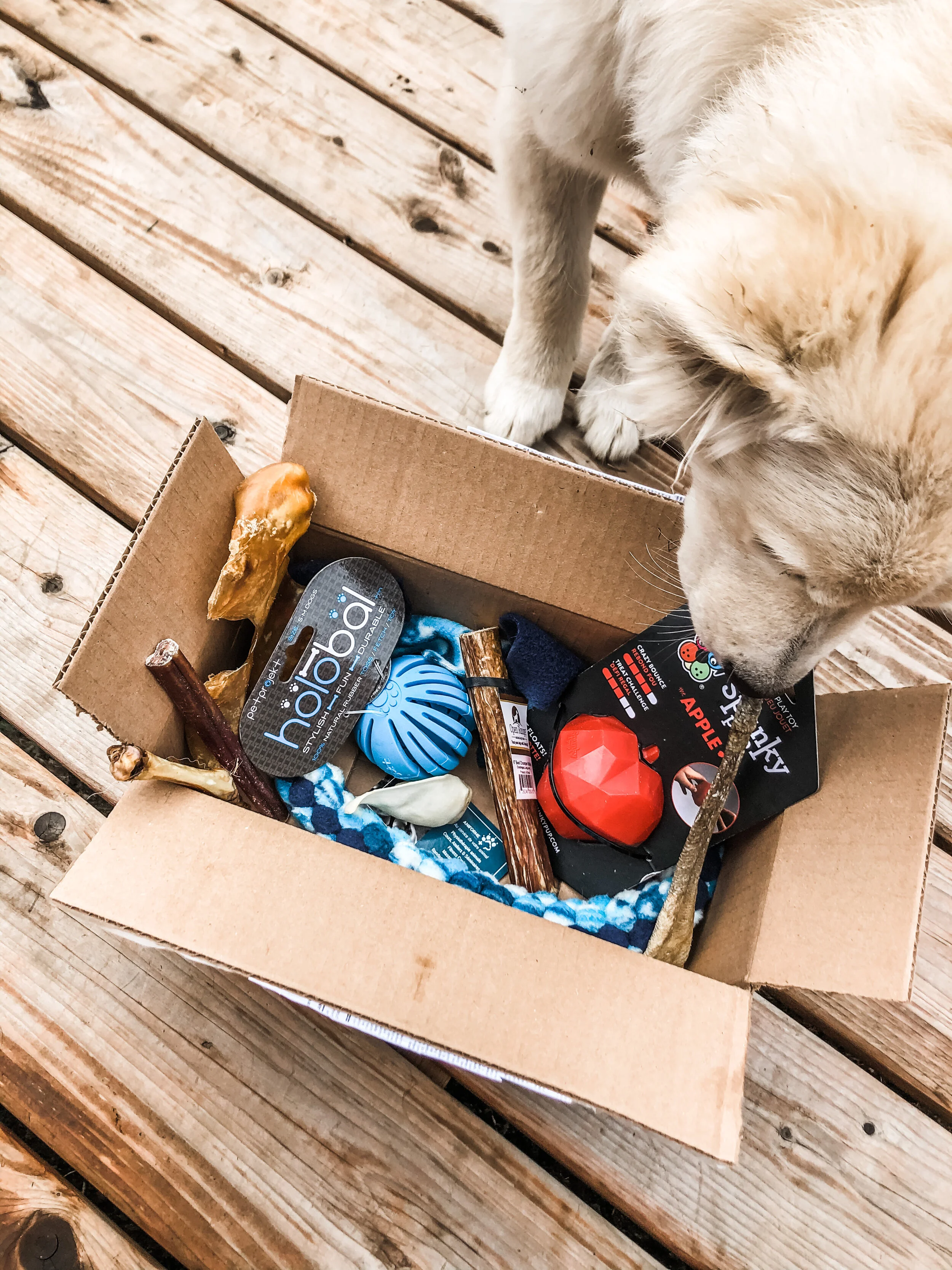 Thunder’s Treasures, boîte pour chien