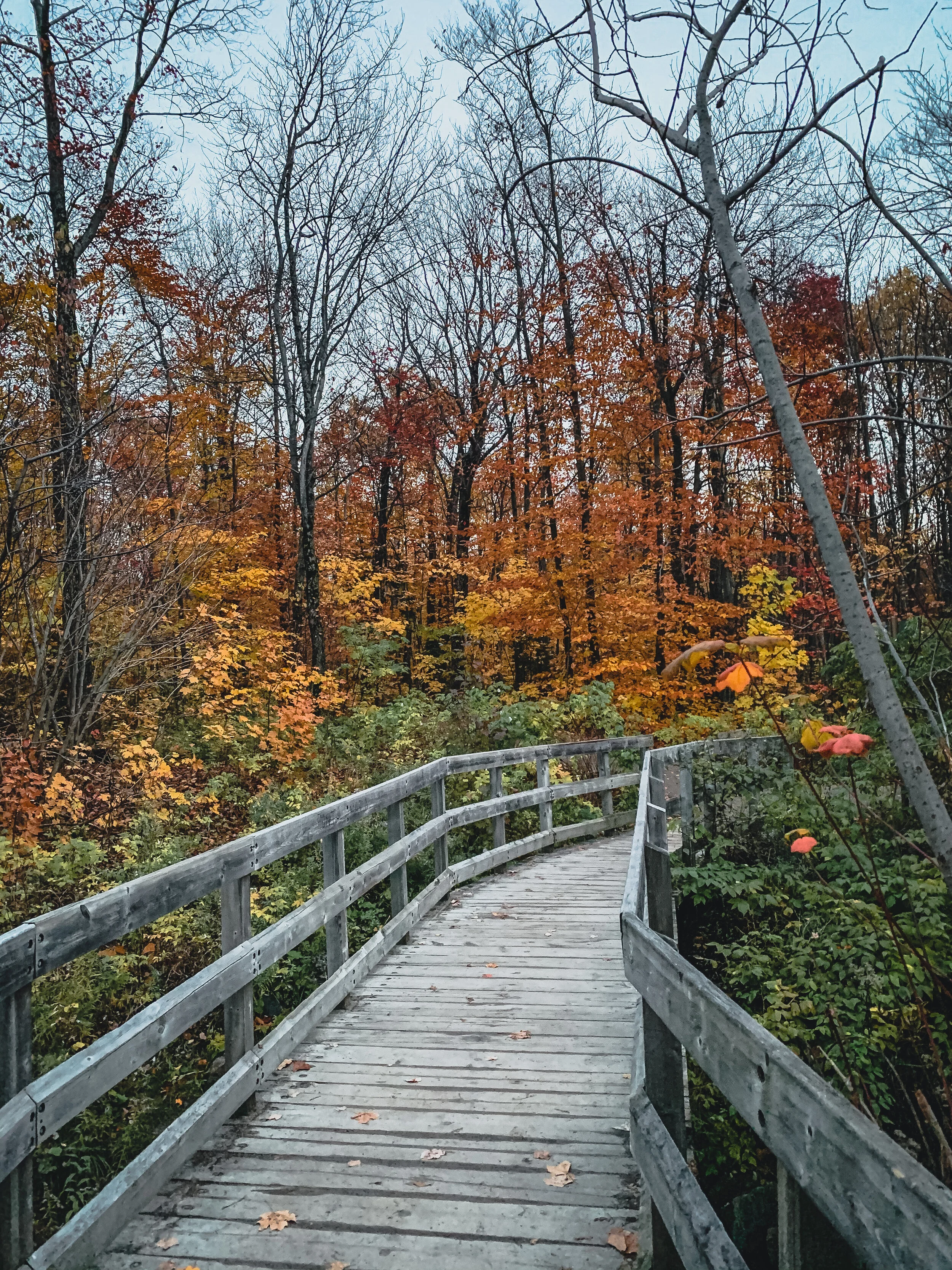 [Québec, Québec] Parc de la Montagne-des-Roches 