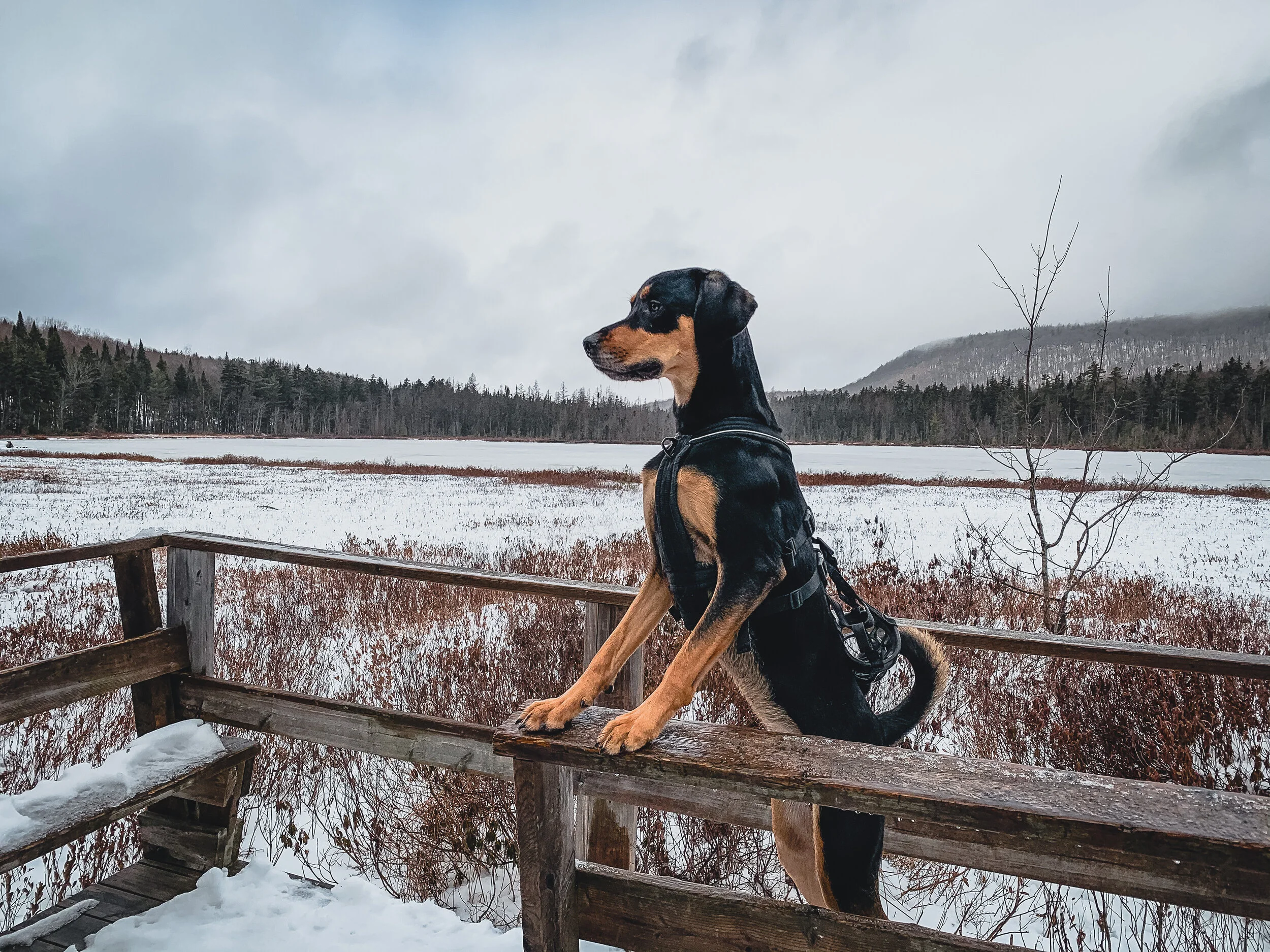 [Québec, Sainte-Catherine-de-la-Jacques-Cartier] Station touristique de Duchesnay 